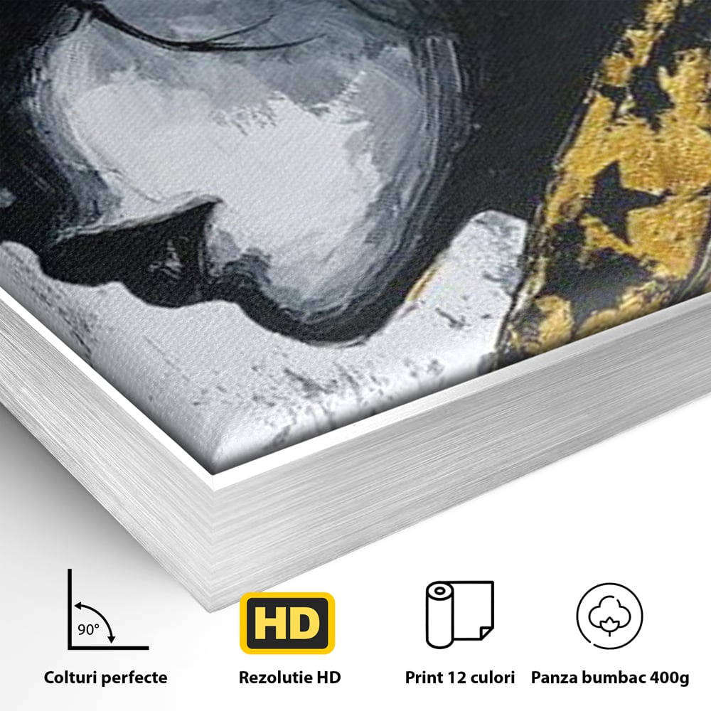 Detaliu al suprafetei: tablou canvas cu femeie profil, in rama de aluminiu argintiu