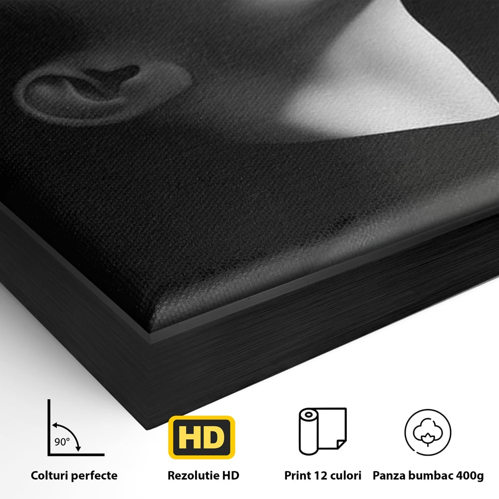 Detaliu al suprafetei: tablou canvas portret alb-negru femeie, in rama de aluminiu negru