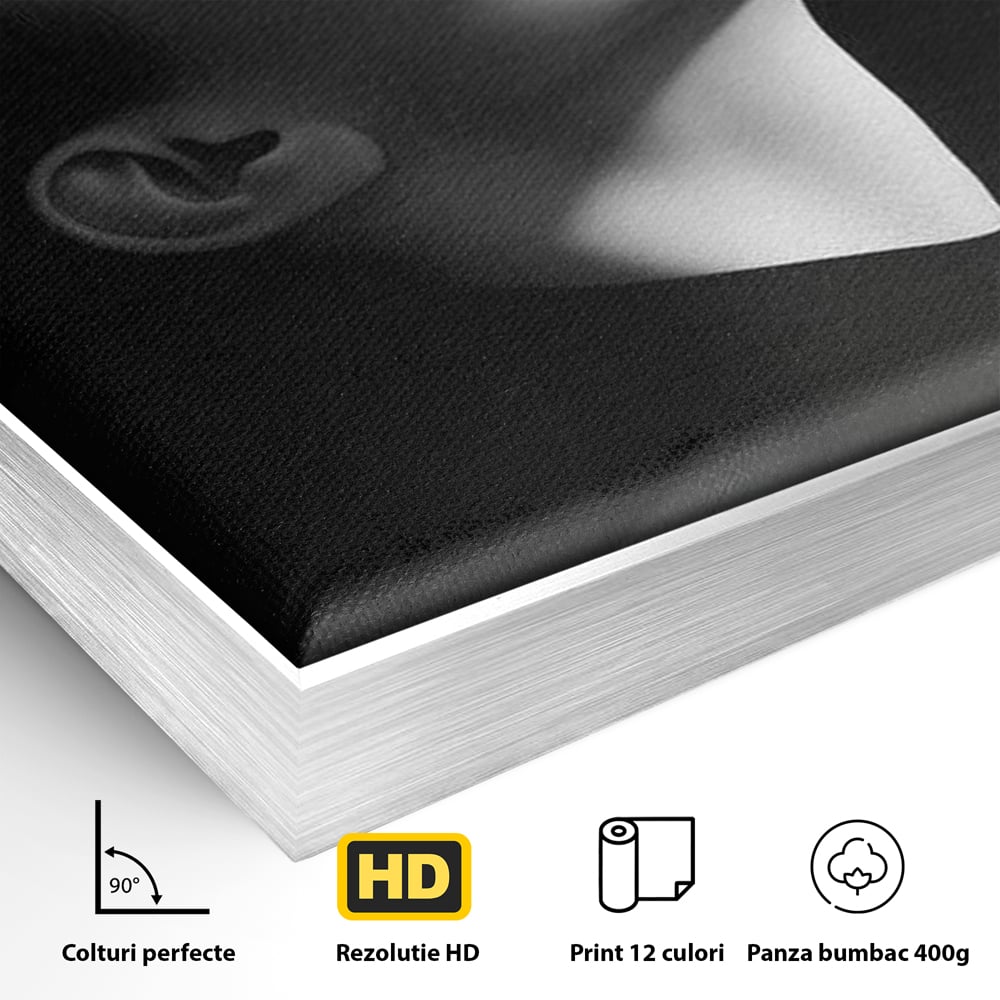 Detaliu al suprafetei: tablou canvas portret alb-negru femeie, in rama de aluminiu argintiu