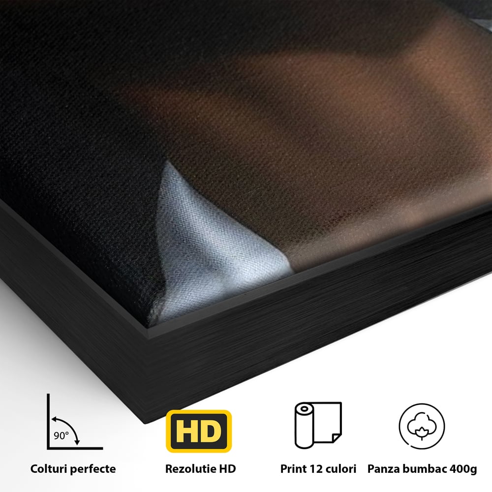 Detaliu al suprafetei: tablou canvas cu portret dual de femeie, in rama de aluminiu negru