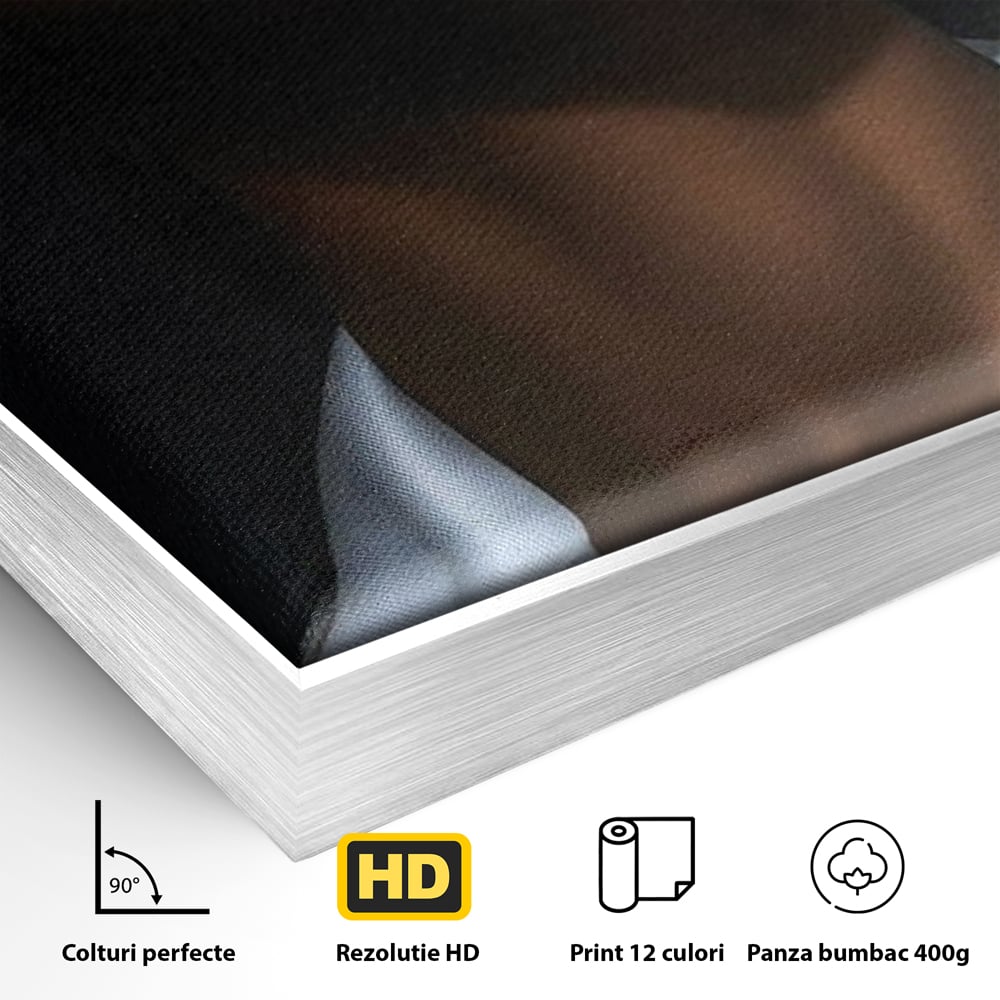 Detaliu al suprafetei: tablou canvas cu portret dual de femeie, in rama de aluminiu argintiu