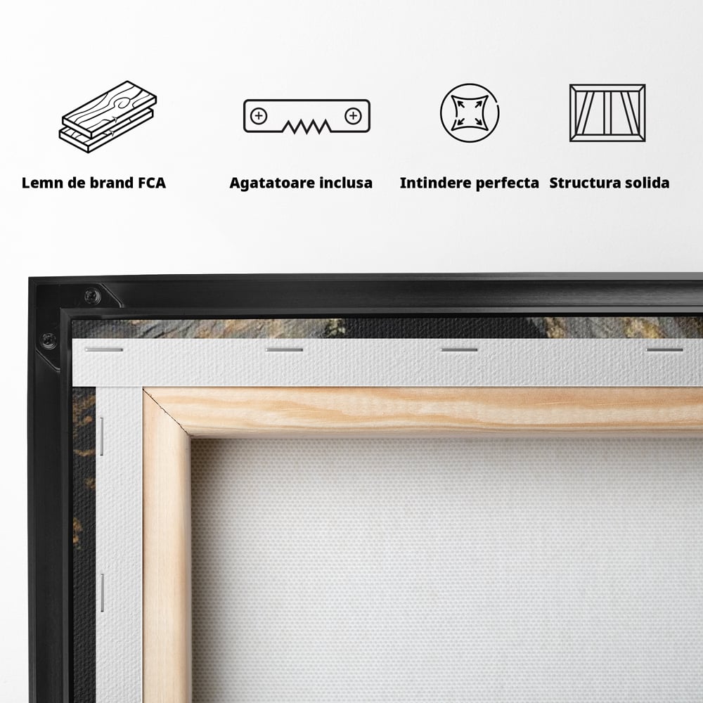 Spatele produsului, cu sasiu din lemn, capse metalice si agatatoare