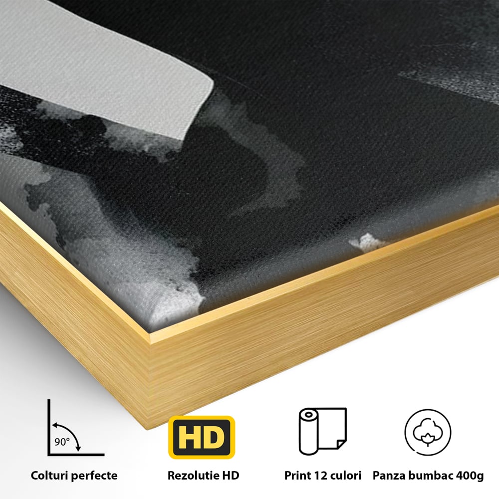 Detaliu al suprafetei: tablou canvas cu portret artistic de femeie, in rama de aluminiu auriu
