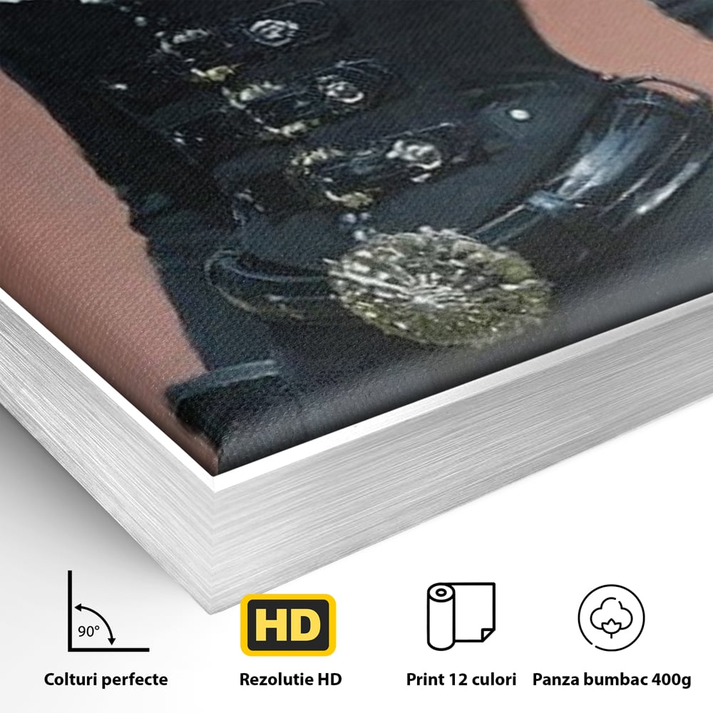 Detaliu al suprafetei: tablou canvas cu femeie aristocrata imbracata in negru, in rama de aluminiu argintiu