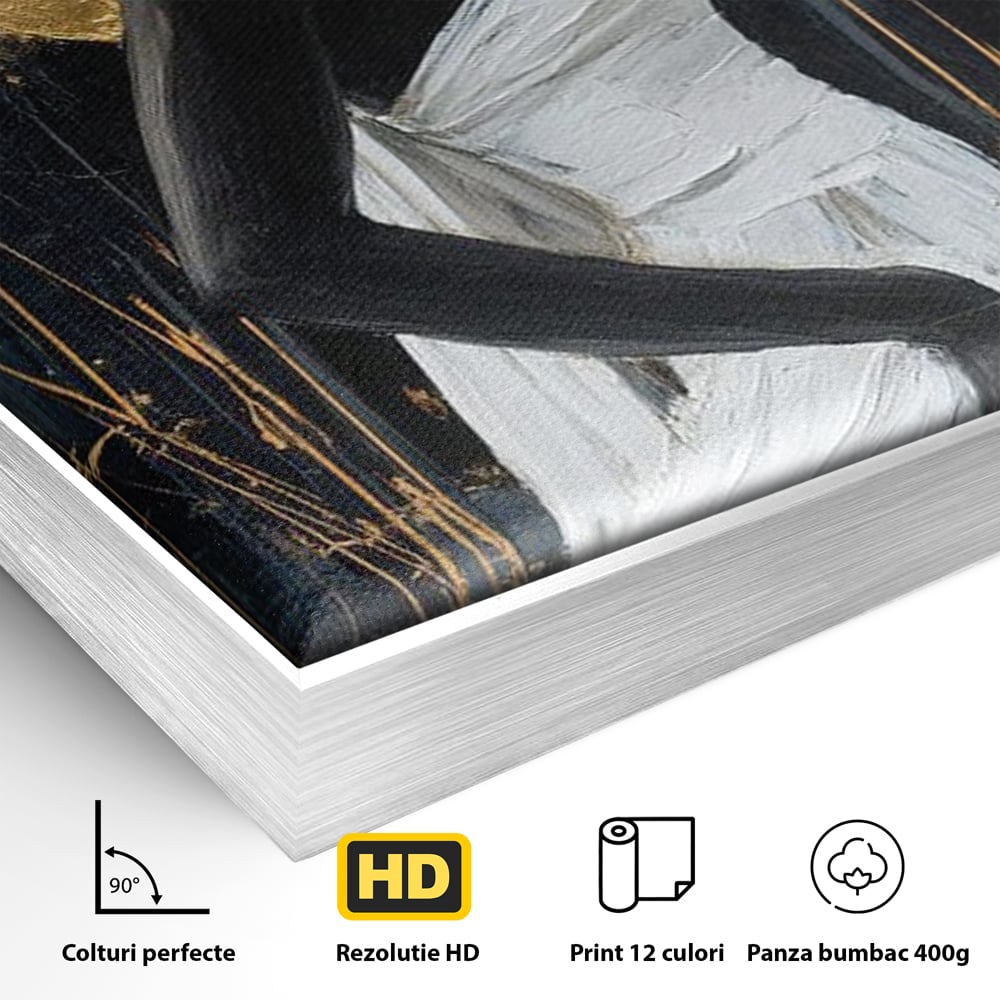 Detaliu al suprafetei: tablou canvas cu femeie si cerc auriu, in rama de aluminiu argintiu