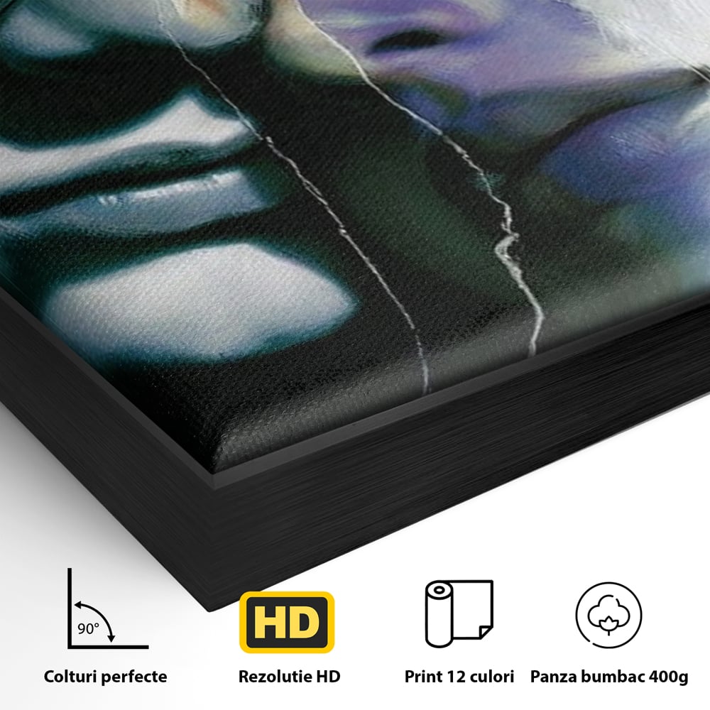 Detaliu al suprafetei: tablou canvas cu chipuri despartite de cioburi, in rama de aluminiu negru
