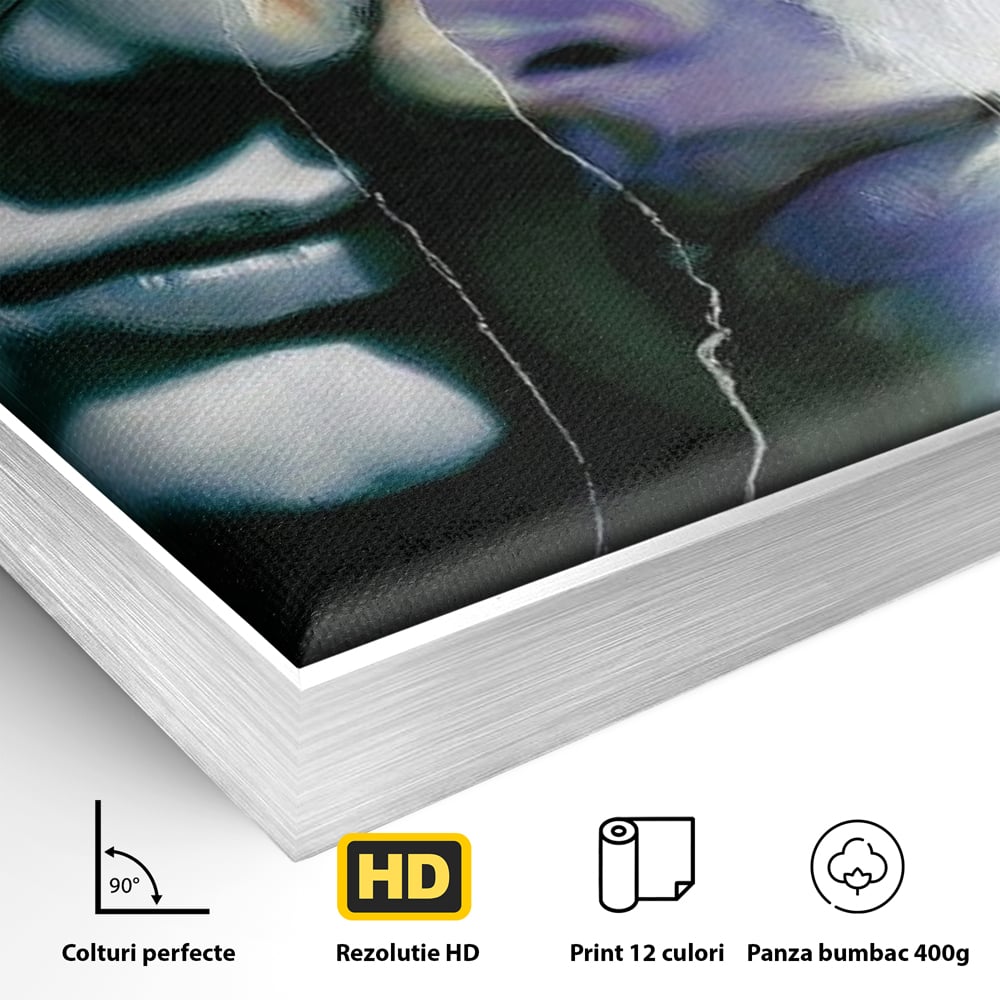 Detaliu al suprafetei: tablou canvas cu chipuri despartite de cioburi, in rama de aluminiu argintiu