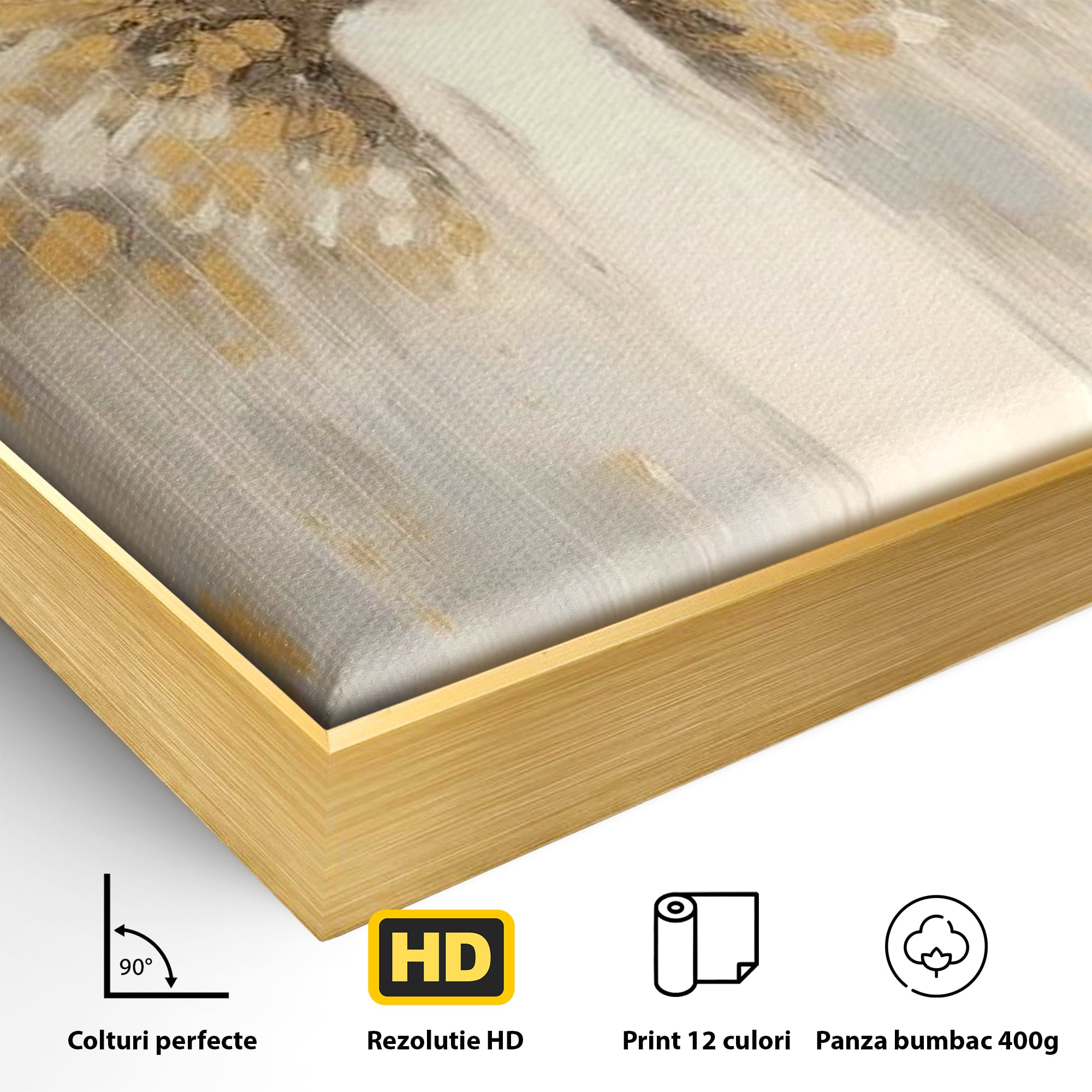 Detaliu al suprafetei: tablou canvas cu inger si aripi aurite, in rama de aluminiu auriu