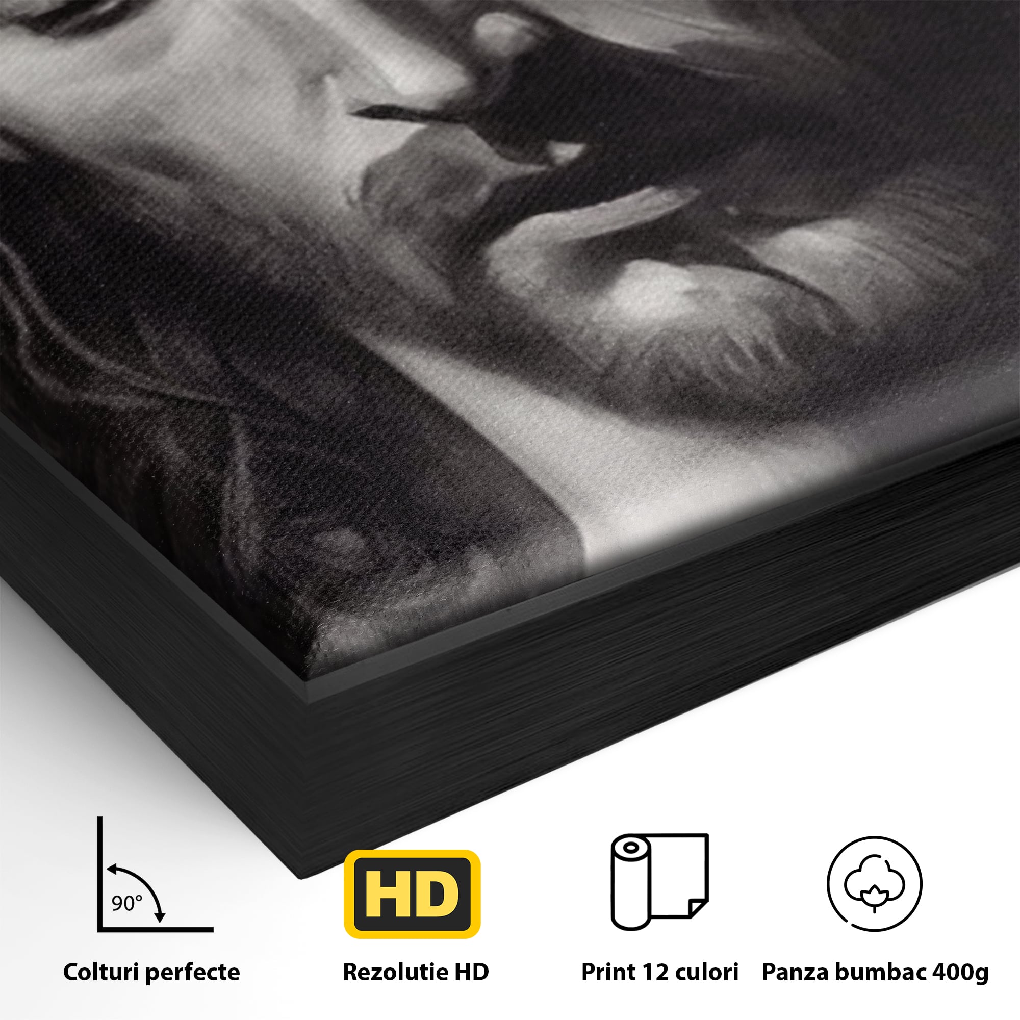 Detaliu al suprafetei: tablou canvas cu portretul lui iisus, in rama de aluminiu negru