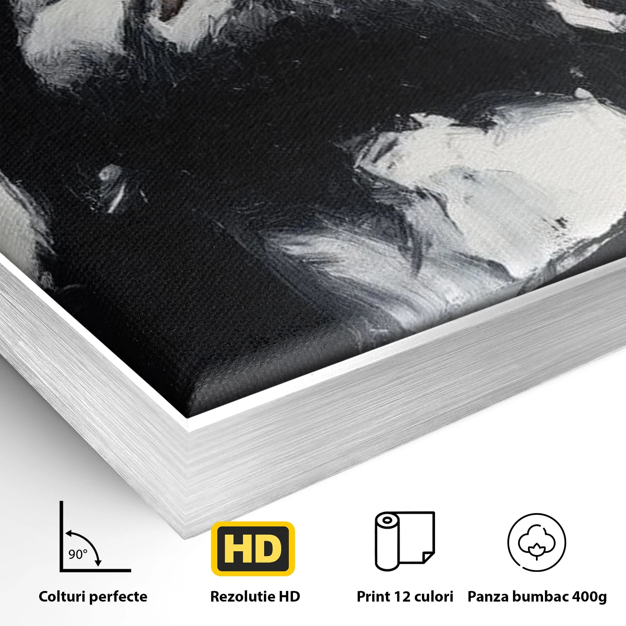 Detaliu al suprafetei: tablou canvas cu pictura barbatului cu coroana de spini, in rama de aluminiu argintiu