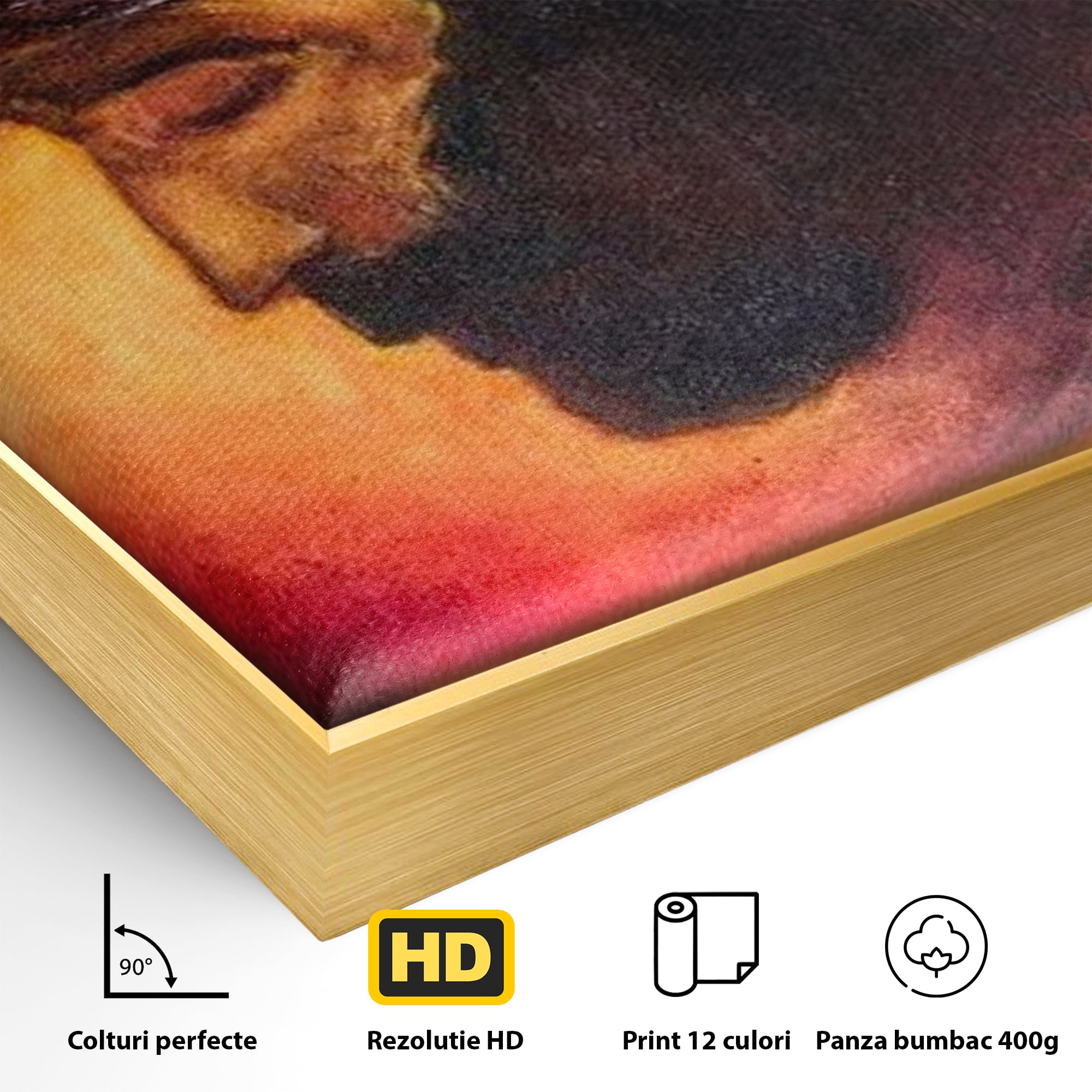 Detaliu al suprafetei: tablou canvas cu isus purtand coroana, in rama de aluminiu auriu