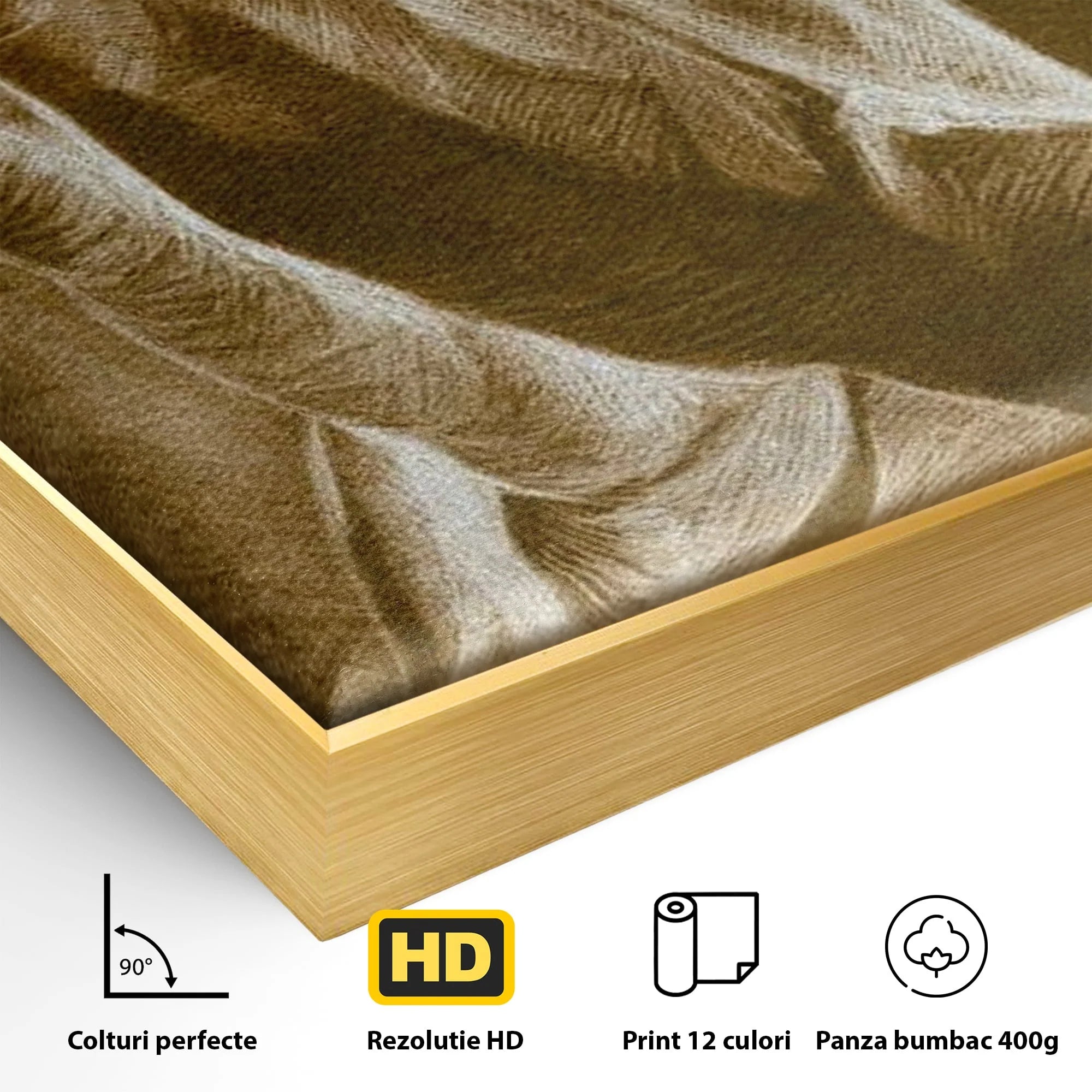 Detaliu al suprafetei: tablou canvas cu maini in rugaciune, in rama de aluminiu auriu