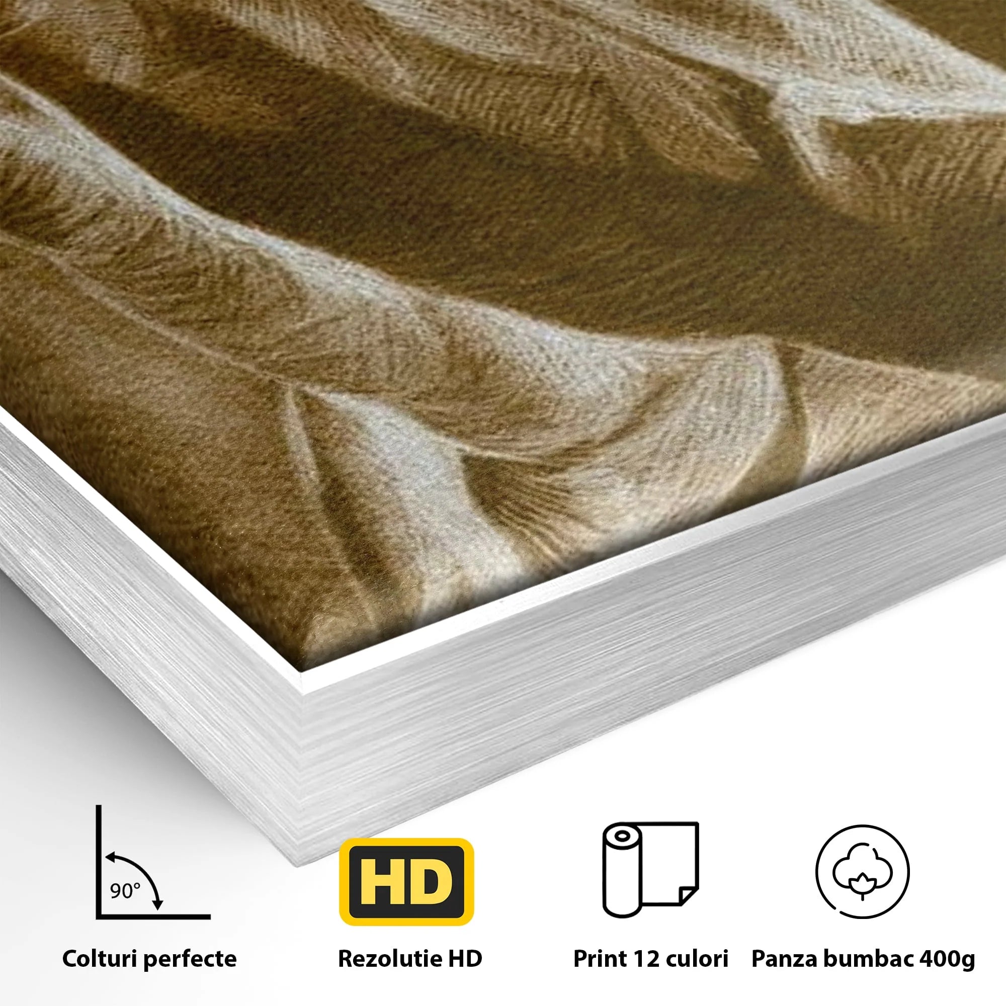 Detaliu al suprafetei: tablou canvas cu maini in rugaciune, in rama de aluminiu argintiu