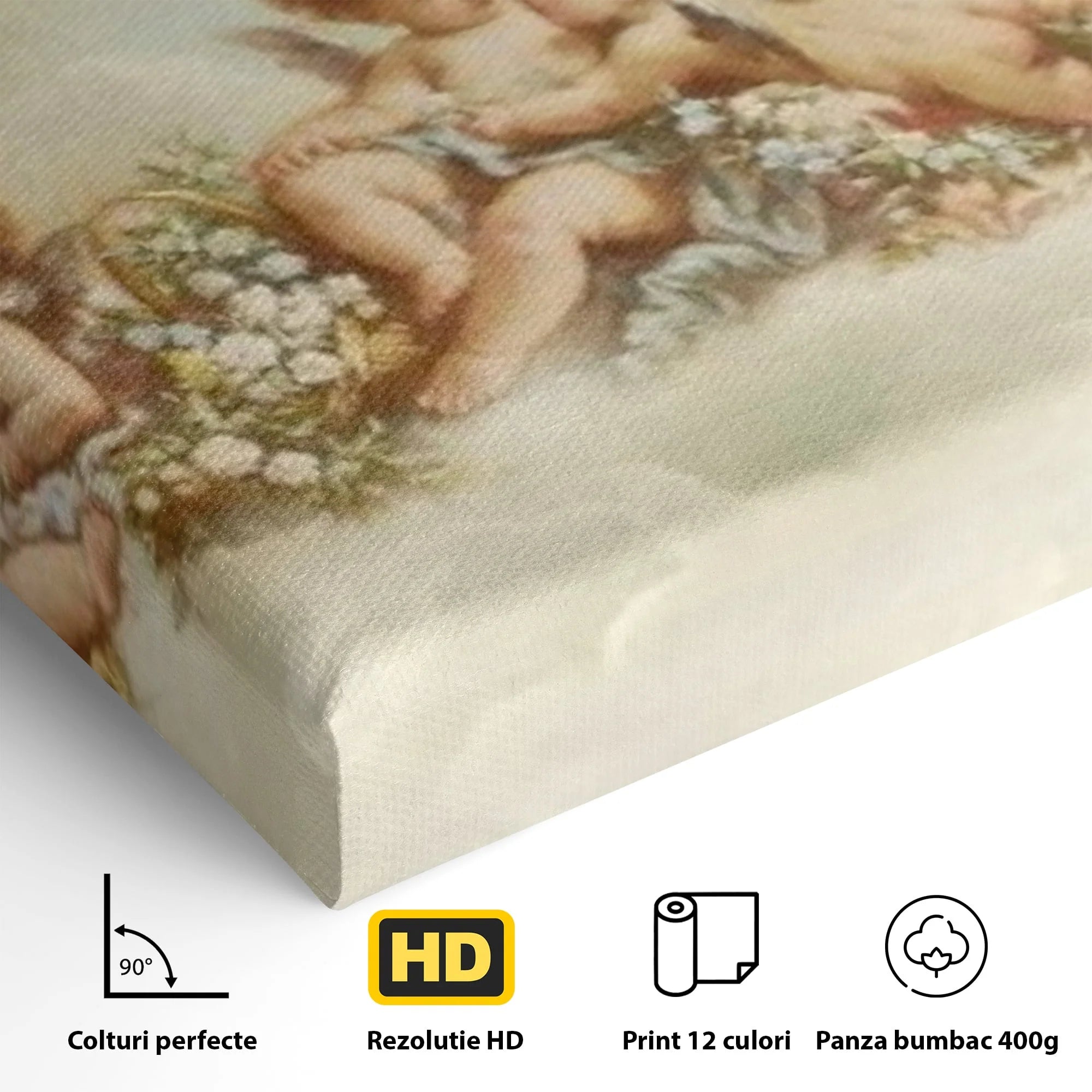 Detaliu al suprafetei: pictura canvas cu ingerase pe nori, fara rama, pe sasiu de lemn
