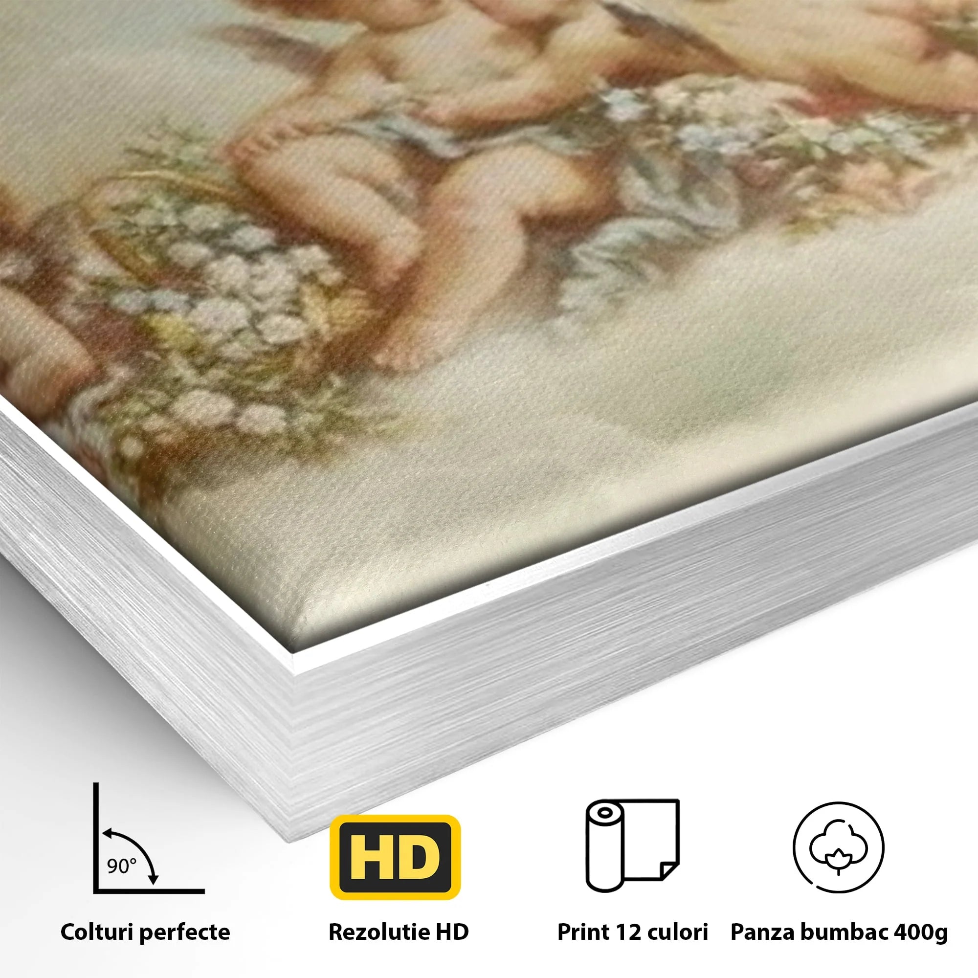 Detaliu al suprafetei: pictura canvas cu ingerase pe nori, in rama de aluminiu argintiu
