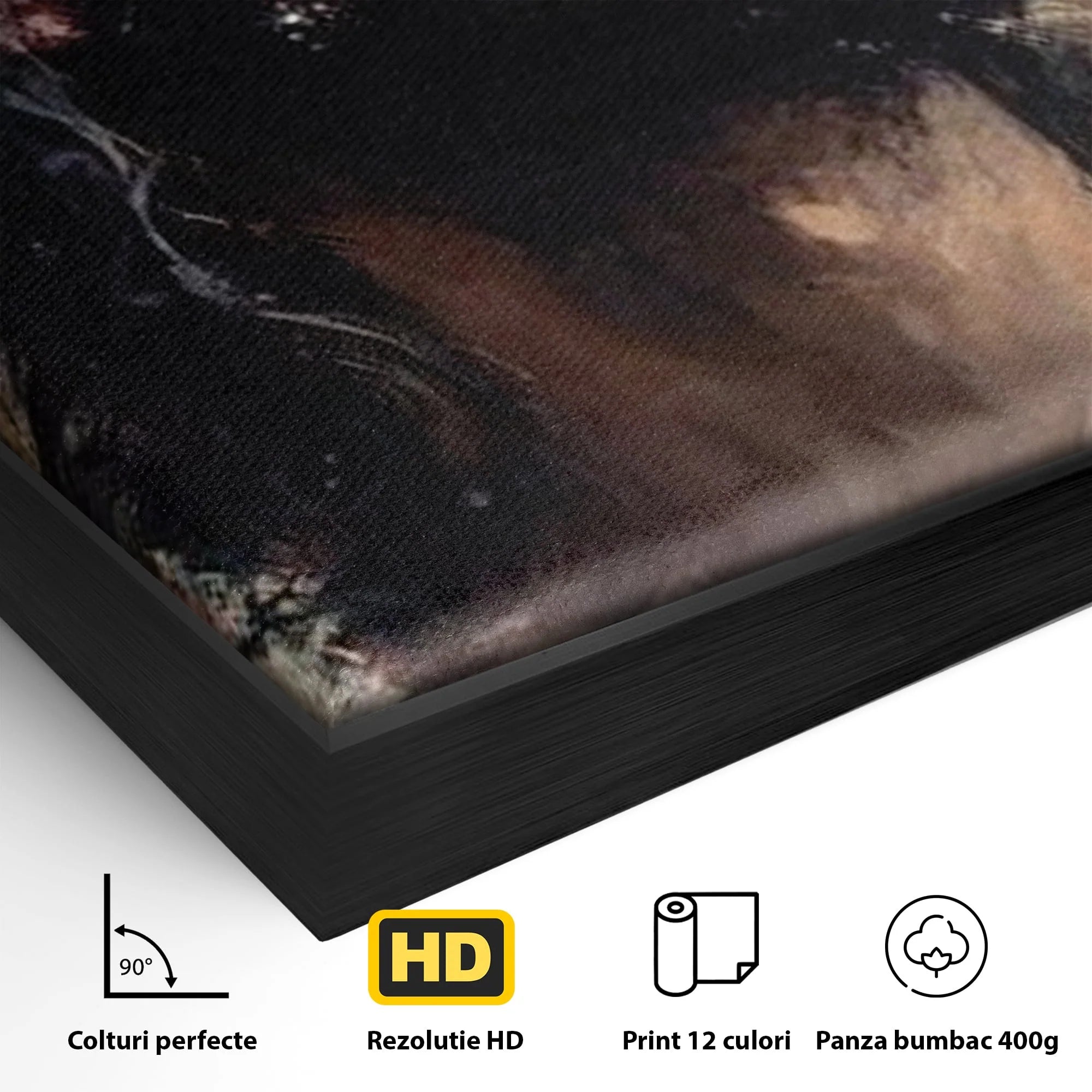 Detaliu al suprafetei: tablou cu iisus purtand coroana de spini, in rama de aluminiu negru