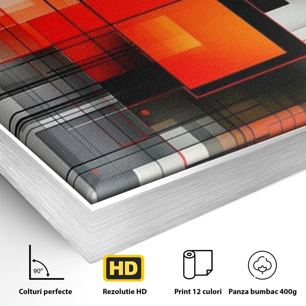 Detaliu al suprafetei: tablou abstract vertical cu linii si forme rosii, in rama de aluminiu argintiu