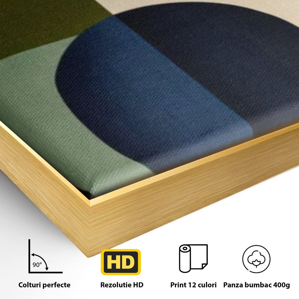 Detaliu al suprafetei: tablou canvas cu forme geometrice si vaze, in rama de aluminiu auriu