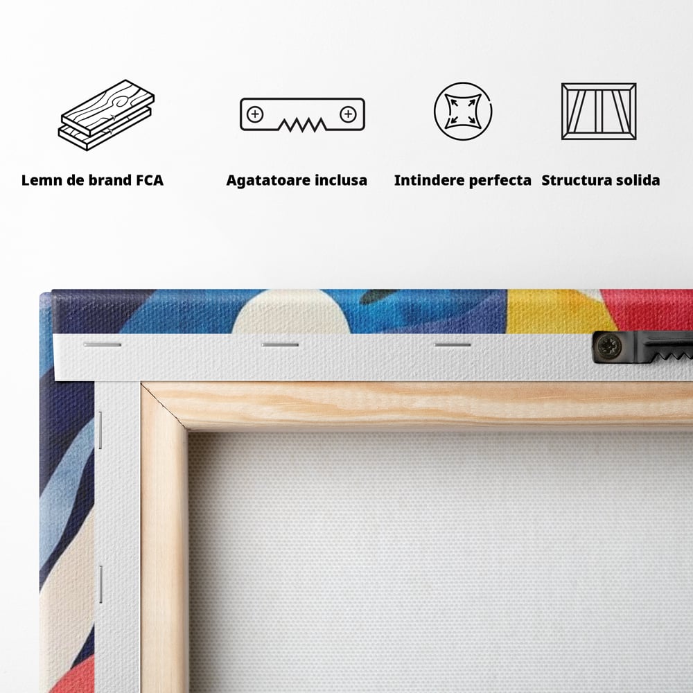 Spatele produsului, cu sasiu din lemn, capse metalice si agatatoare