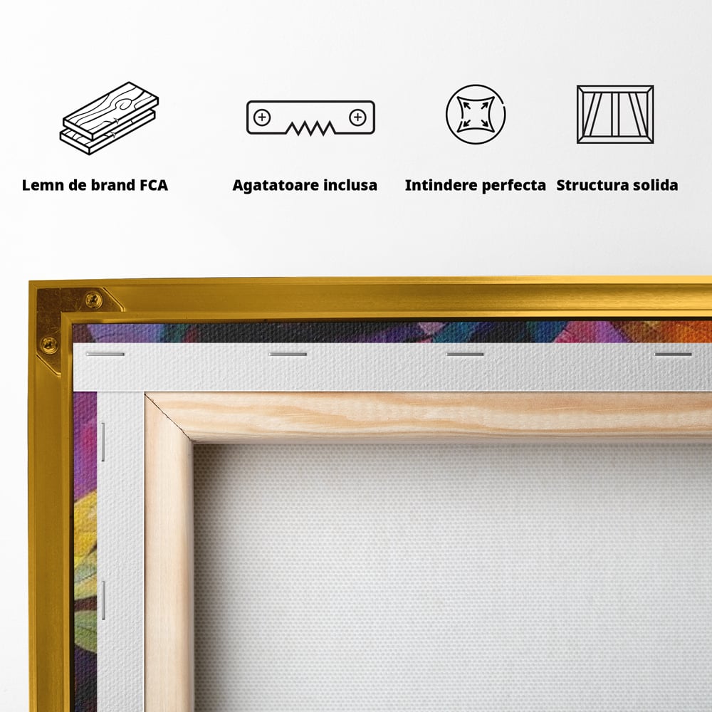 Spatele produsului, cu sasiu din lemn, capse metalice si agatatoare