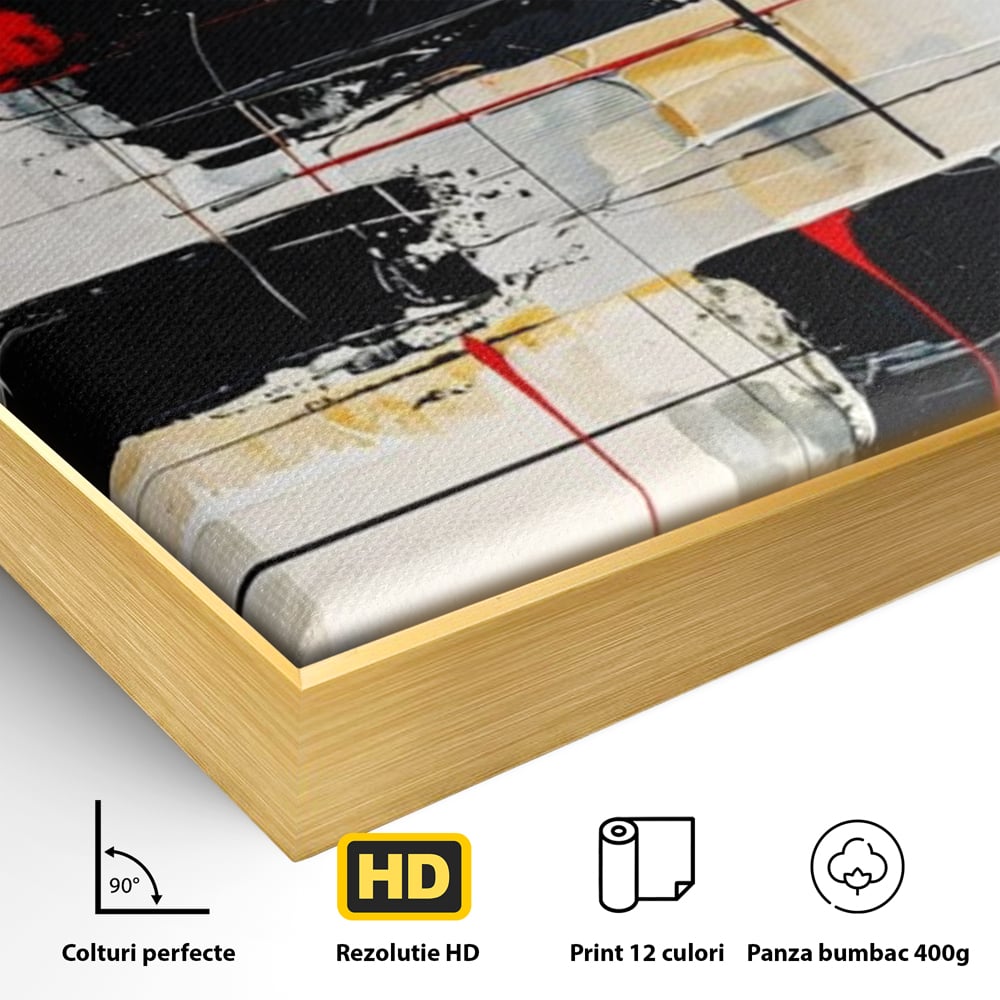 Detaliu al suprafetei: tablou abstract cu cerc rosu si linii negre, in rama de aluminiu auriu