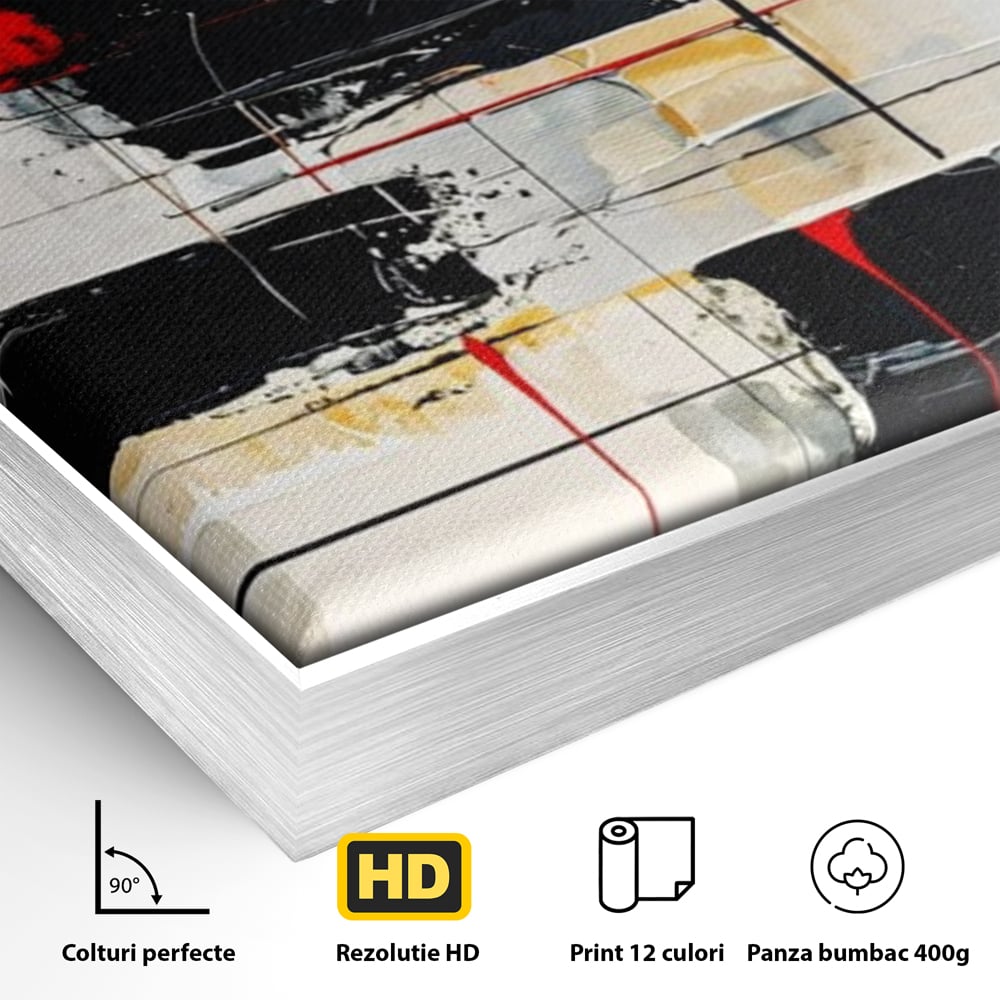 Detaliu al suprafetei: tablou abstract cu cerc rosu si linii negre, in rama de aluminiu argintiu