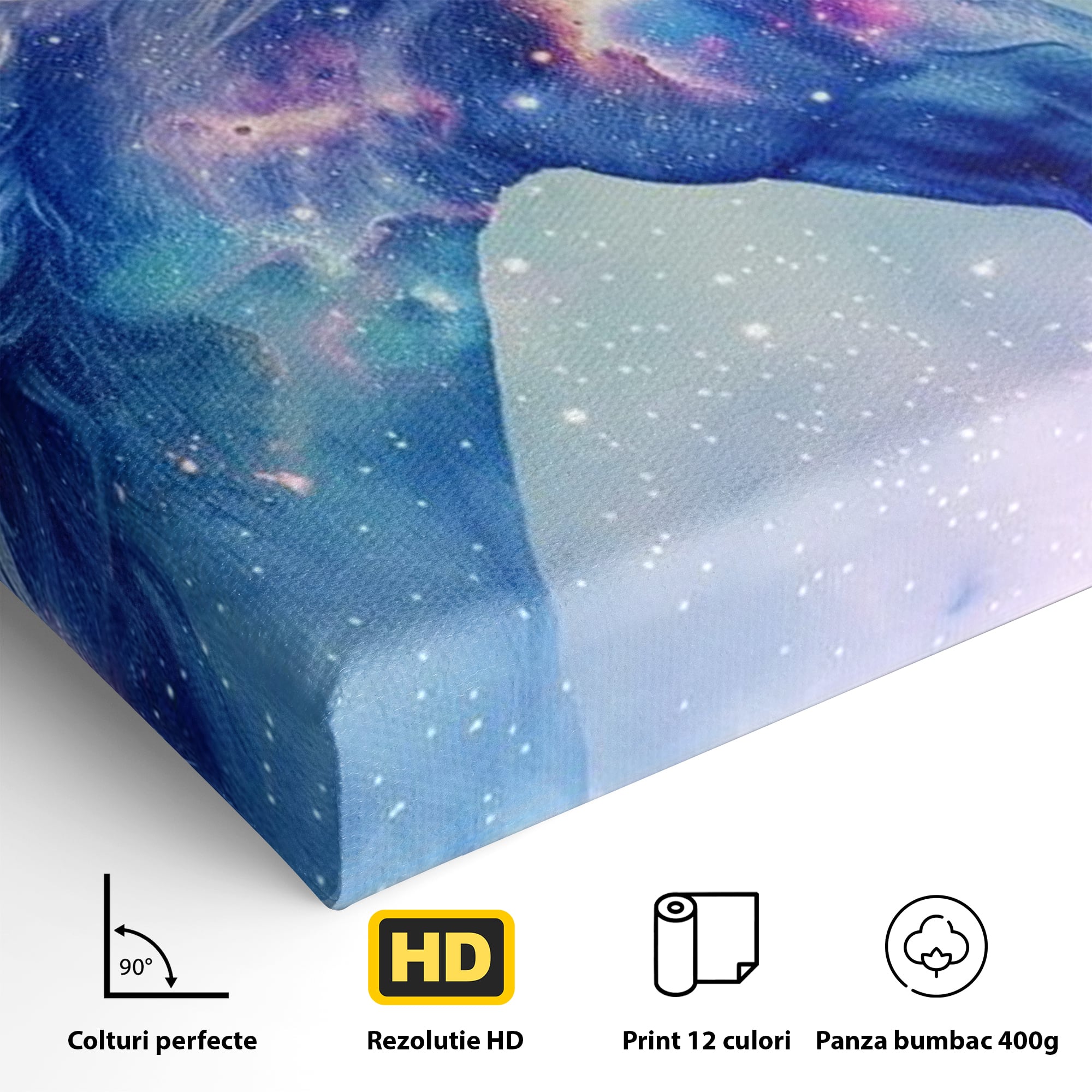 Detaliu al suprafetei: tablou canvas cu unicorn cosmic in galaxie, fara rama, pe sasiu de lemn