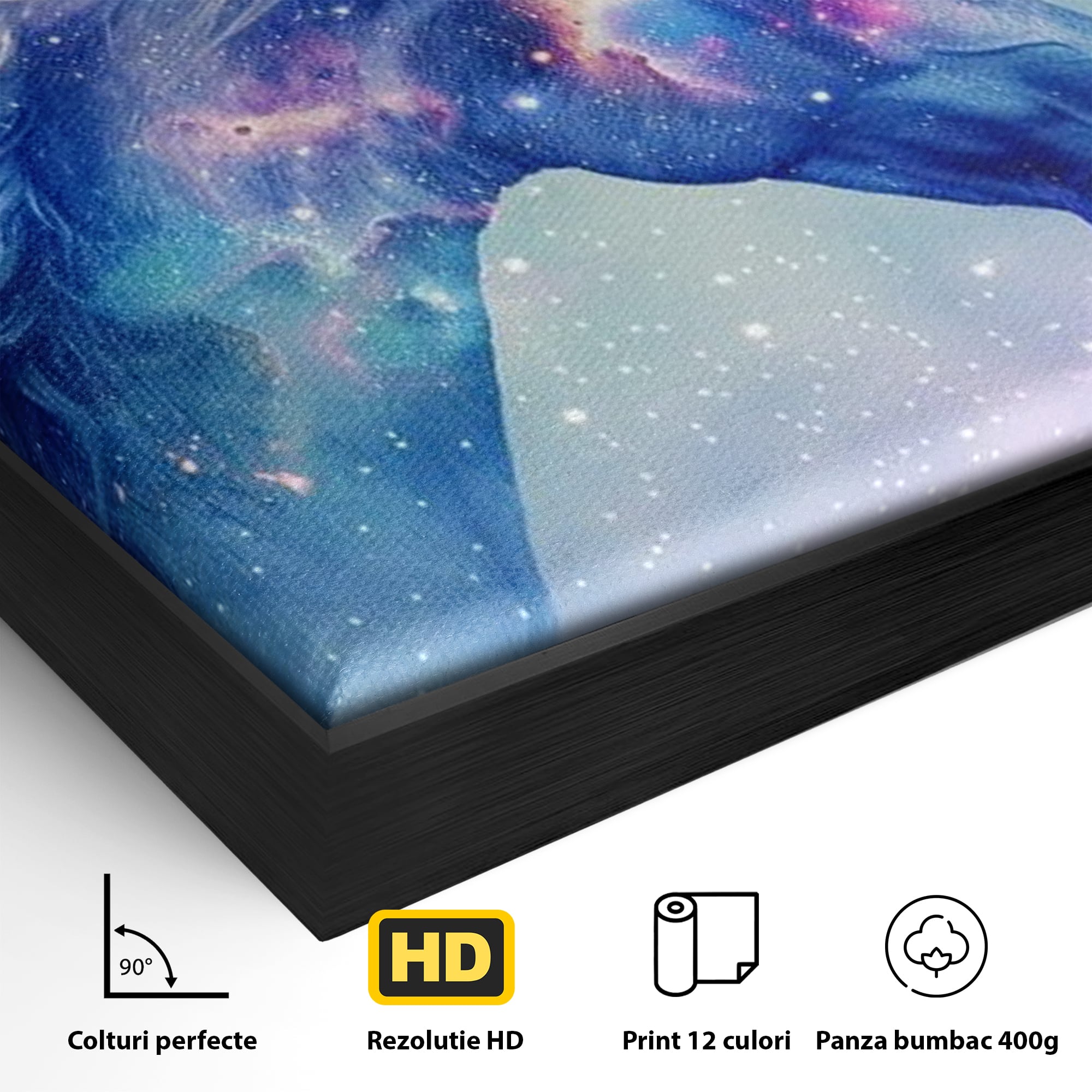Detaliu al suprafetei: tablou canvas cu unicorn cosmic in galaxie, in rama de aluminiu negru