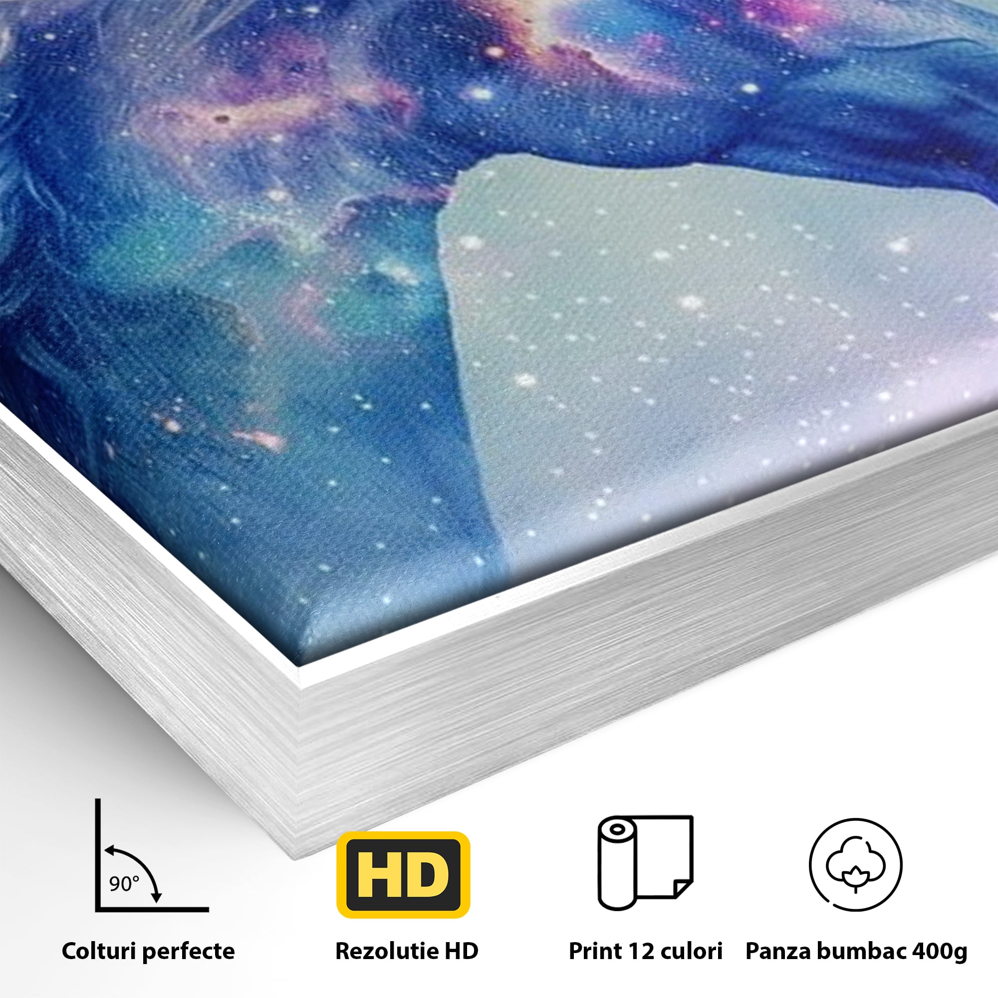 Detaliu al suprafetei: tablou canvas cu unicorn cosmic in galaxie, in rama de aluminiu argintiu