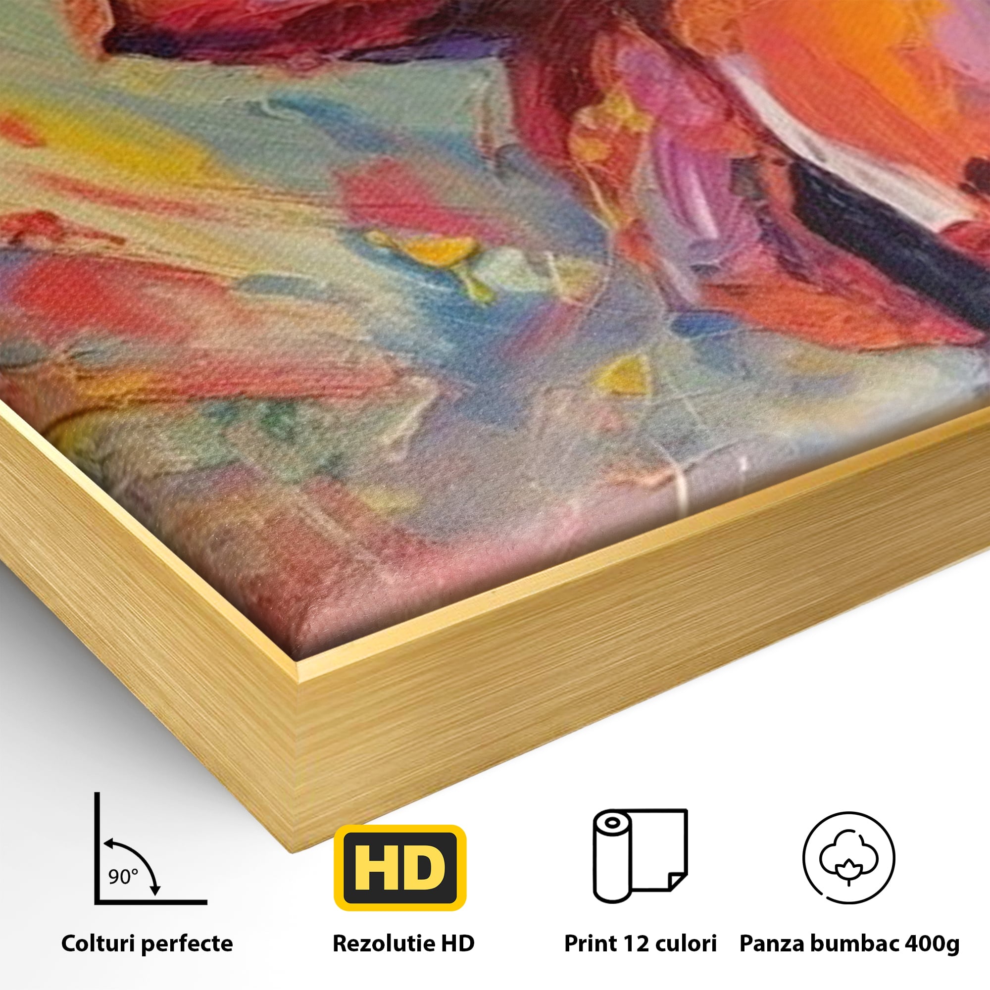 Detaliu al suprafetei: tablou canvas cu iepuras magician colorat, in rama de aluminiu auriu