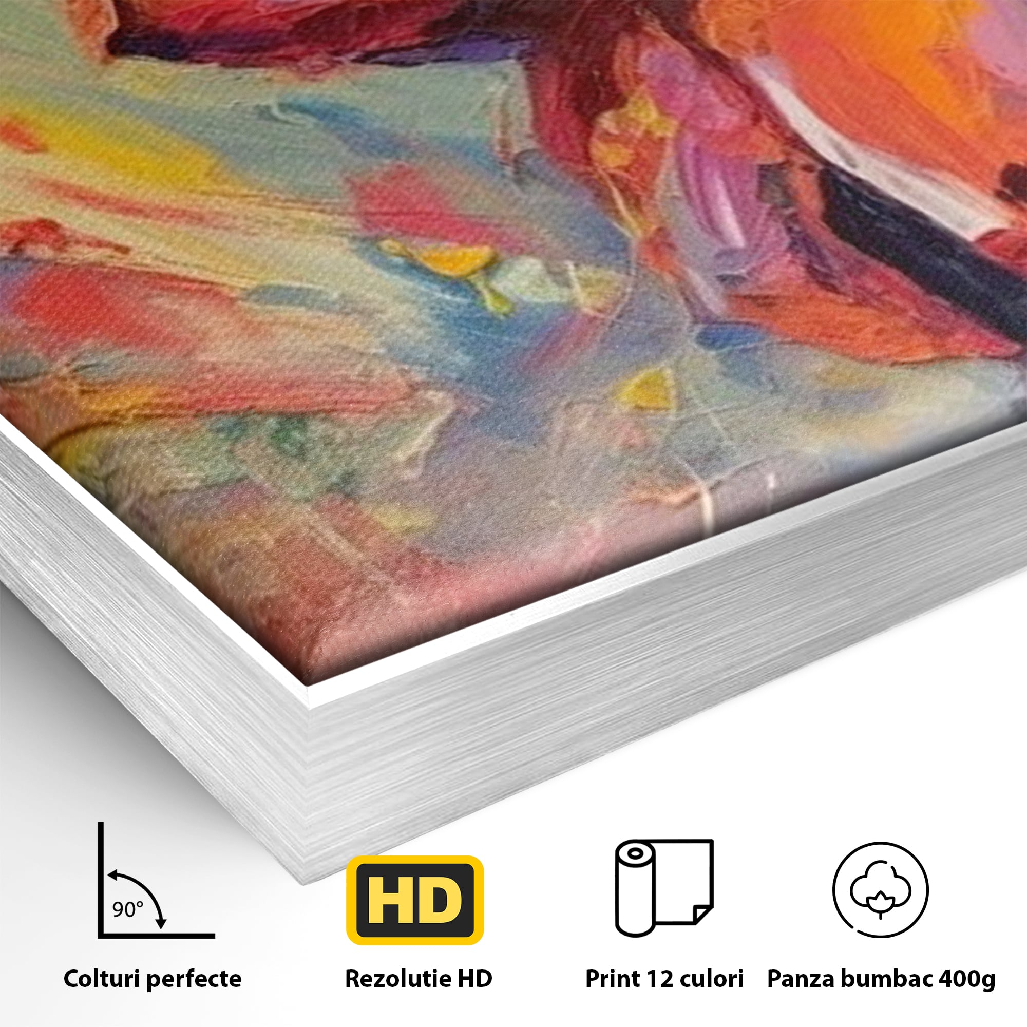 Detaliu al suprafetei: tablou canvas cu iepuras magician colorat, in rama de aluminiu argintiu