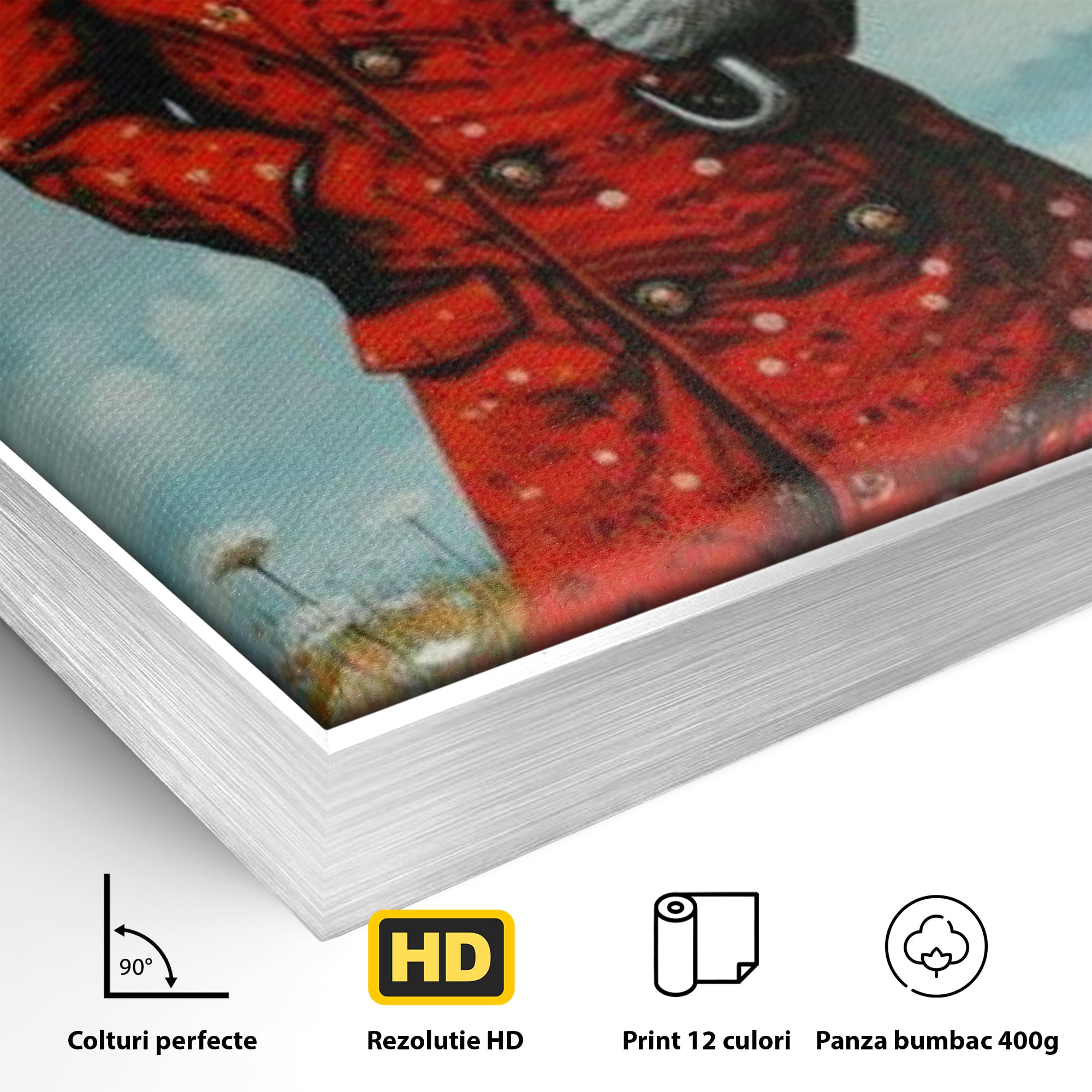 Detaliu al suprafetei: tablou canvas cu iepure antropomorf in haina rosie, in rama de aluminiu argintiu