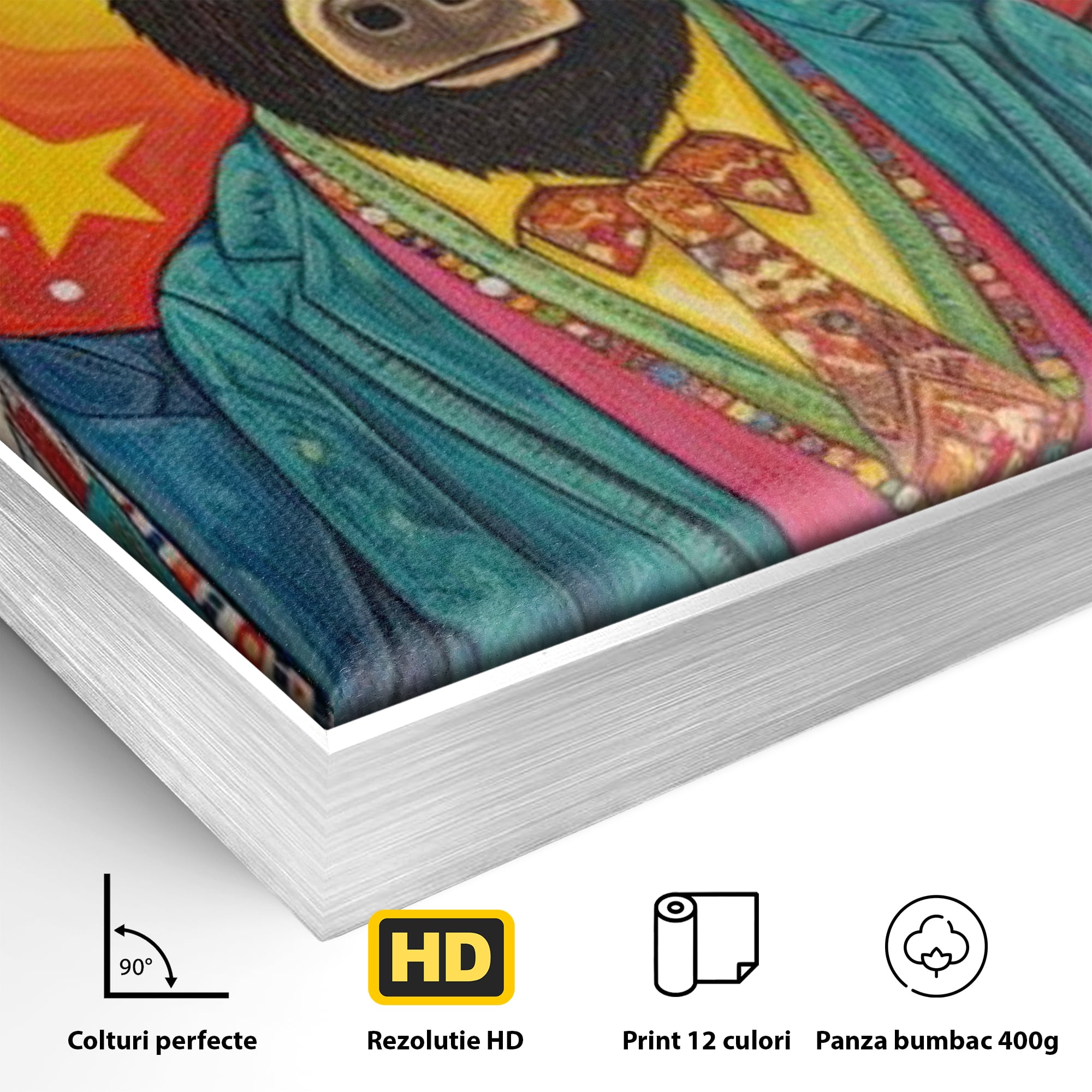 Detaliu al suprafetei: tablou canvas cu trei animale antropomorfe stilizate, in rama de aluminiu argintiu