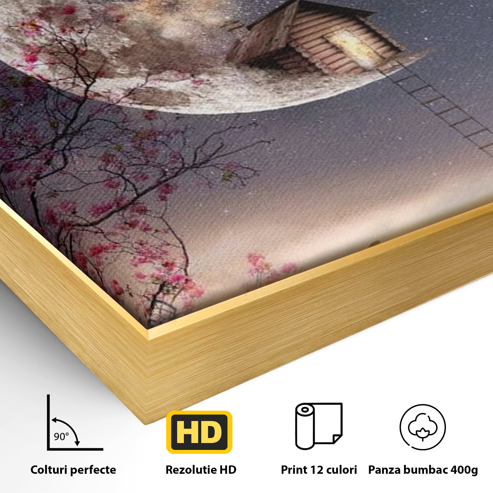 Detaliu al suprafetei: ilustratie digitala cu casa pe luna, in rama de aluminiu auriu