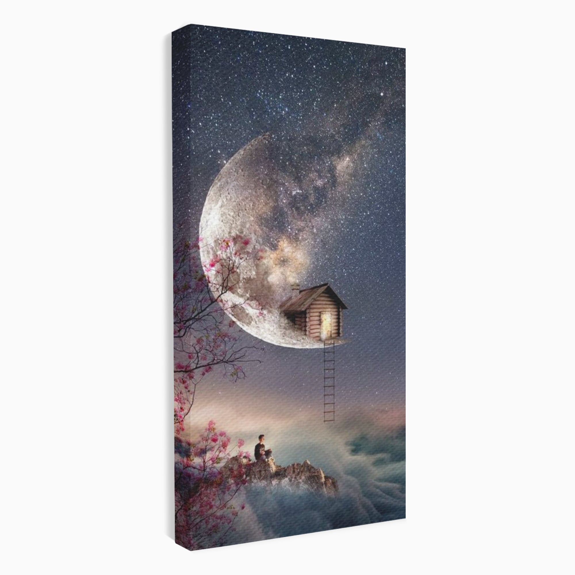 Tablou canvas cu ilustratie digitala cu casa pe luna, fara rama, pe sasiu de lemn