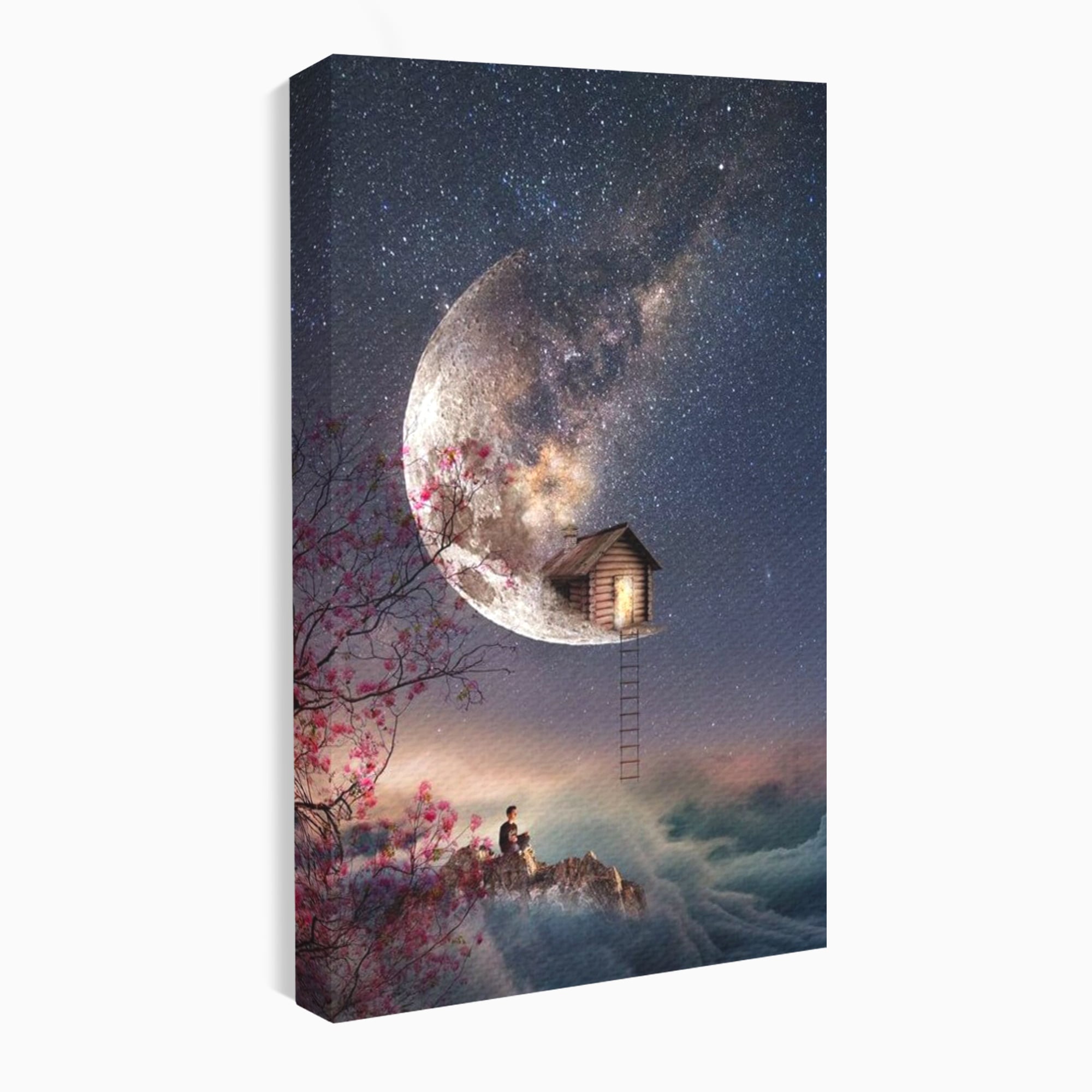 Tablou canvas cu ilustratie digitala cu casa pe luna, fara rama, pe sasiu de lemn