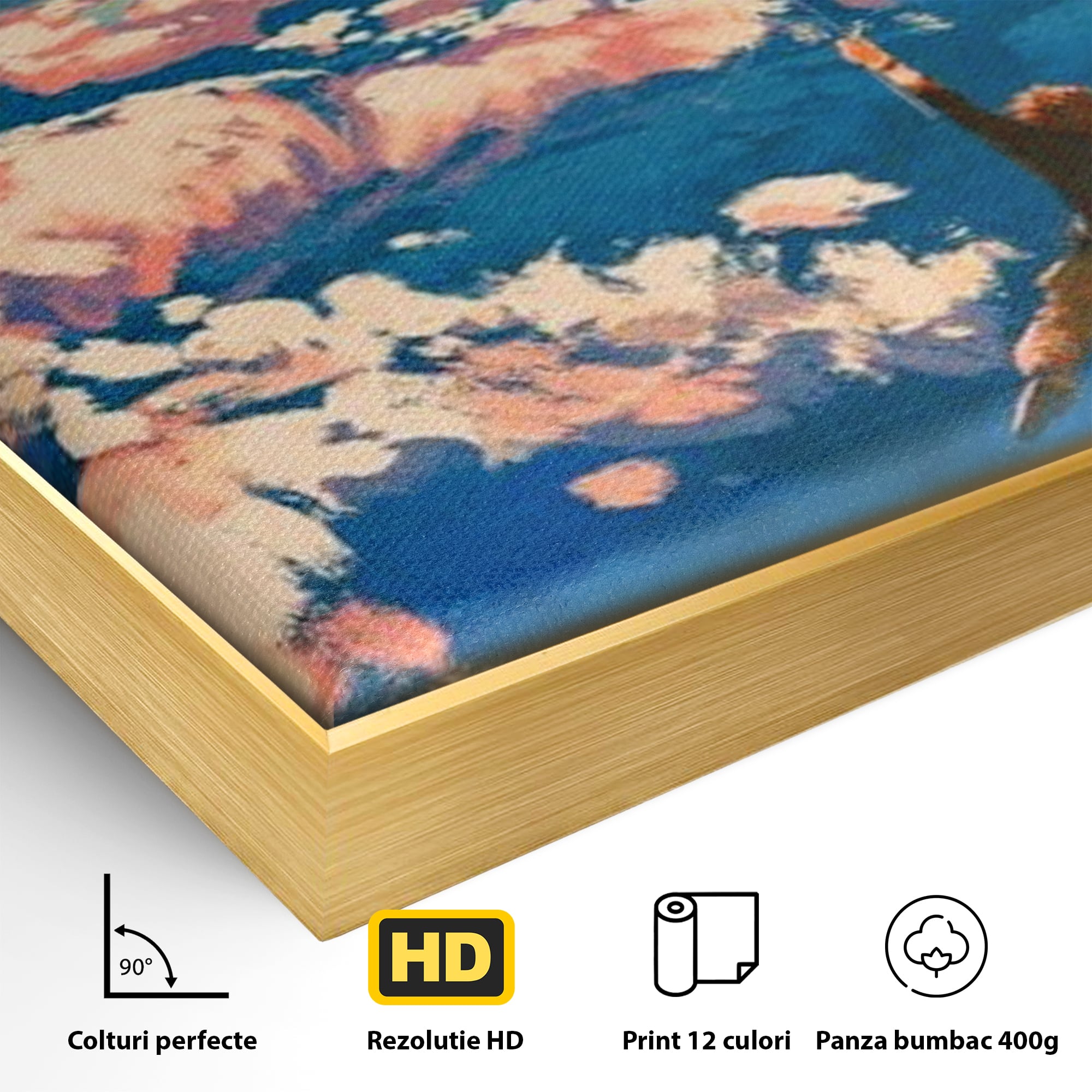 Detaliu al suprafetei: tablou canvas cu om zburand cu baloane, in rama de aluminiu auriu