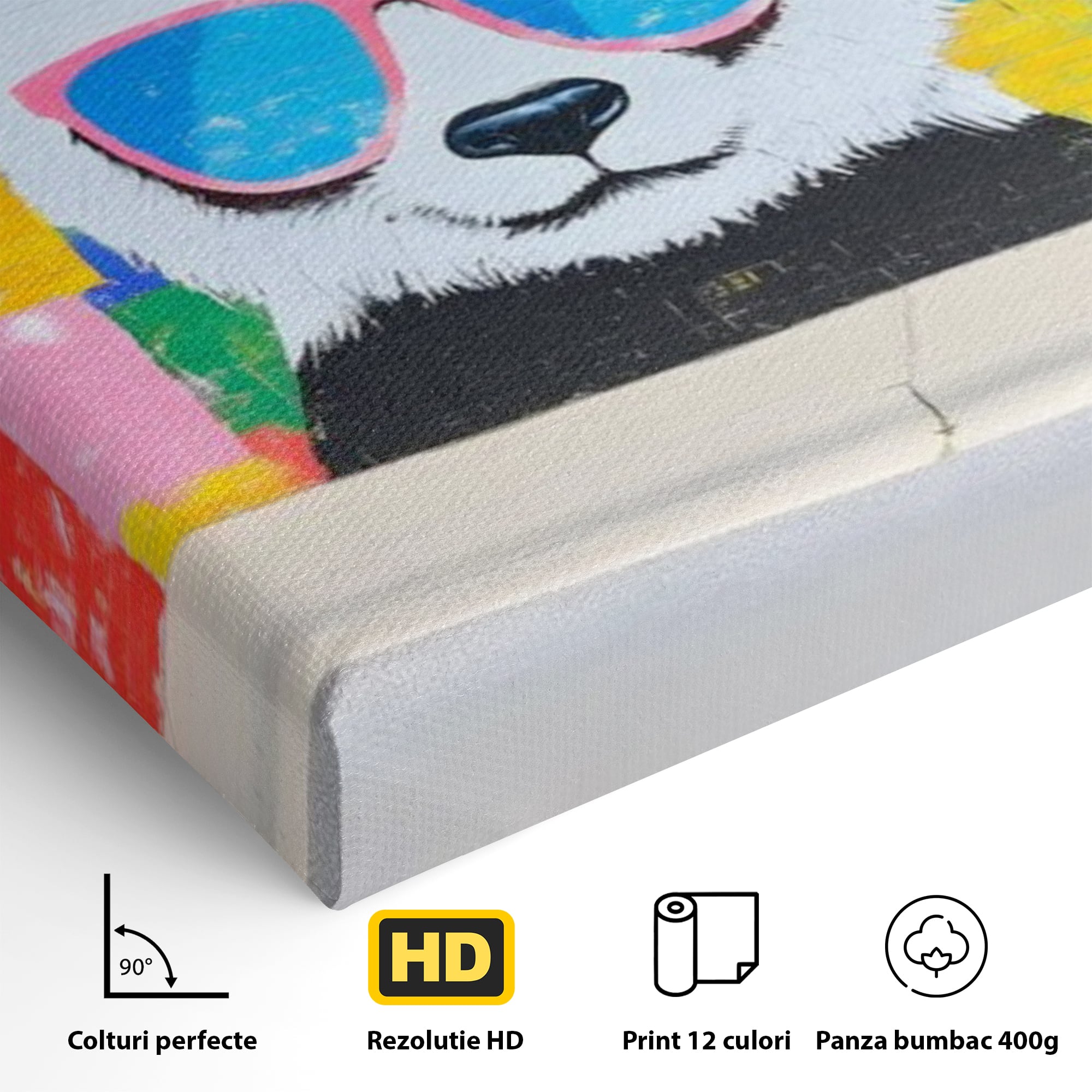 Detaliu al suprafetei: tablou canvas cu panda grafitat, fara rama, pe sasiu de lemn