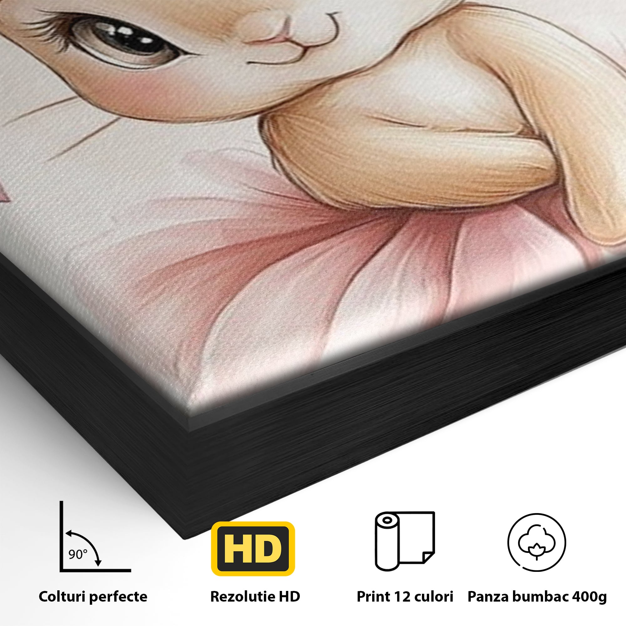 Detaliu al suprafetei: ilustratie cu iepuras balerina, in rama de aluminiu negru