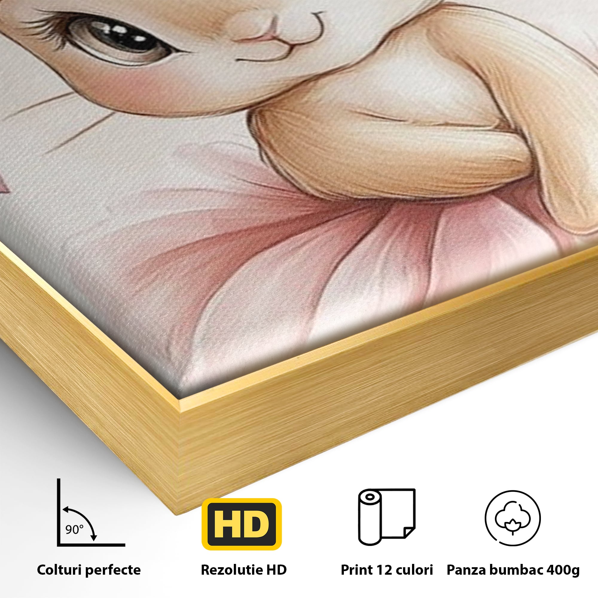 Detaliu al suprafetei: ilustratie cu iepuras balerina, in rama de aluminiu auriu