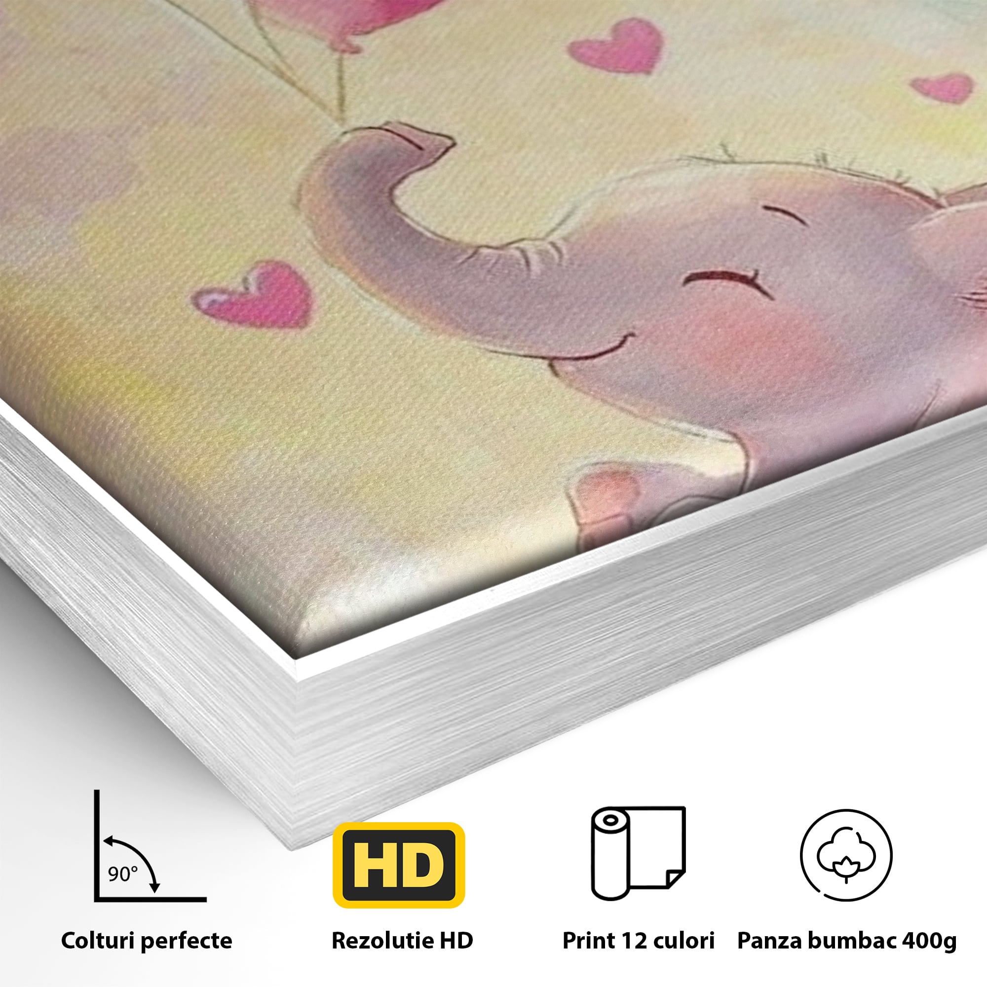 Detaliu al suprafetei: tablou canvas cu pui de elefant, in rama de aluminiu argintiu