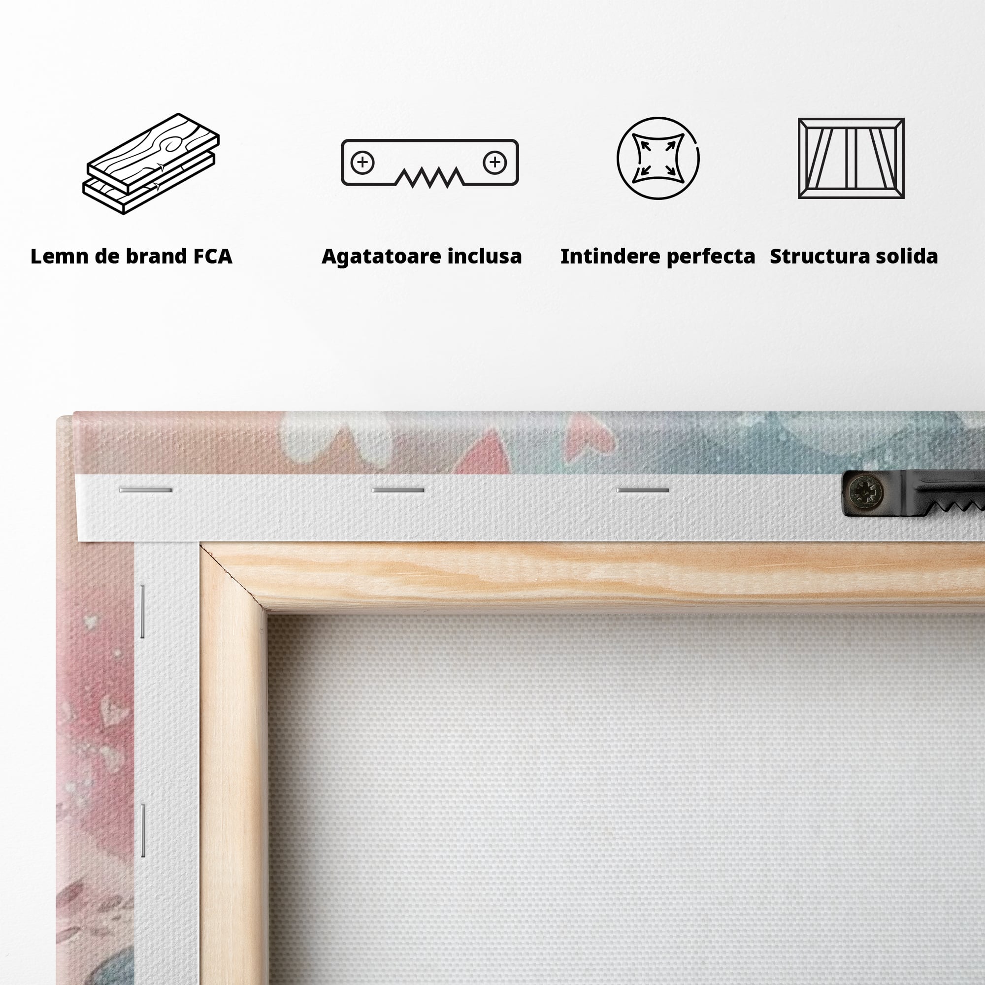 Spatele produsului, cu sasiu din lemn, capse metalice si agatatoare