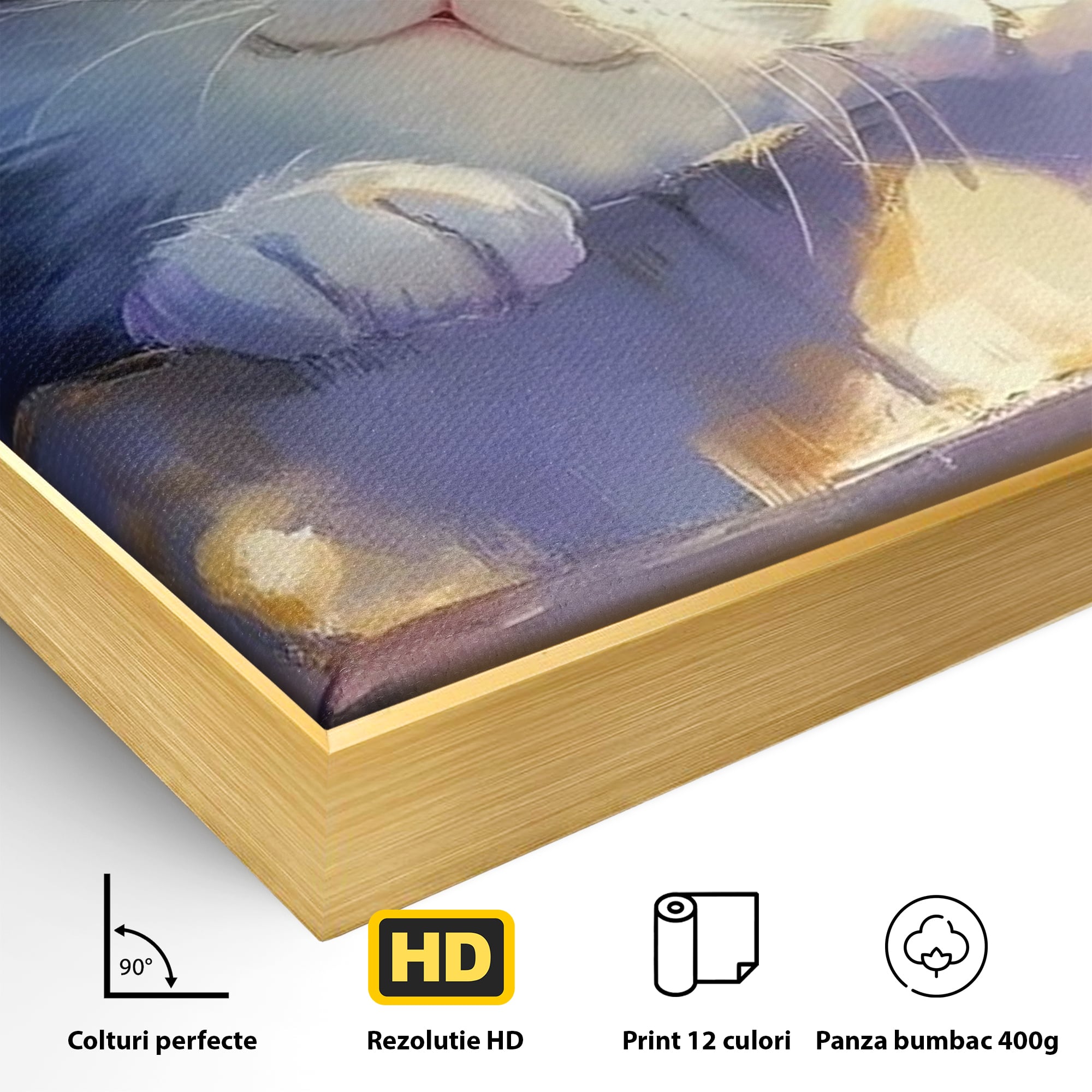 Detaliu al suprafetei: tablou canvas cu pisica pufoasa, in rama de aluminiu auriu