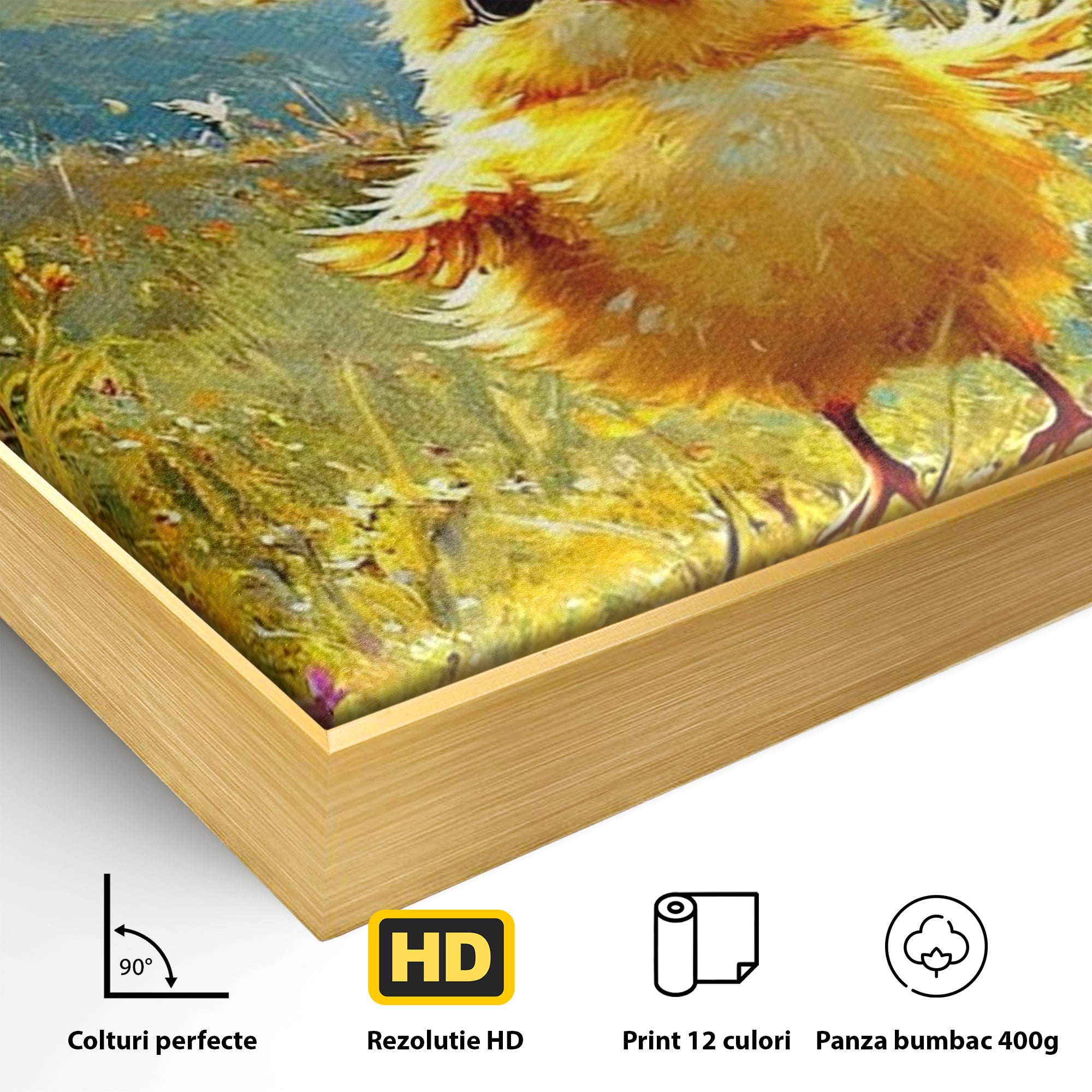Detaliu al suprafetei: tablou canvas cu pui de pasare si fluture, in rama de aluminiu auriu