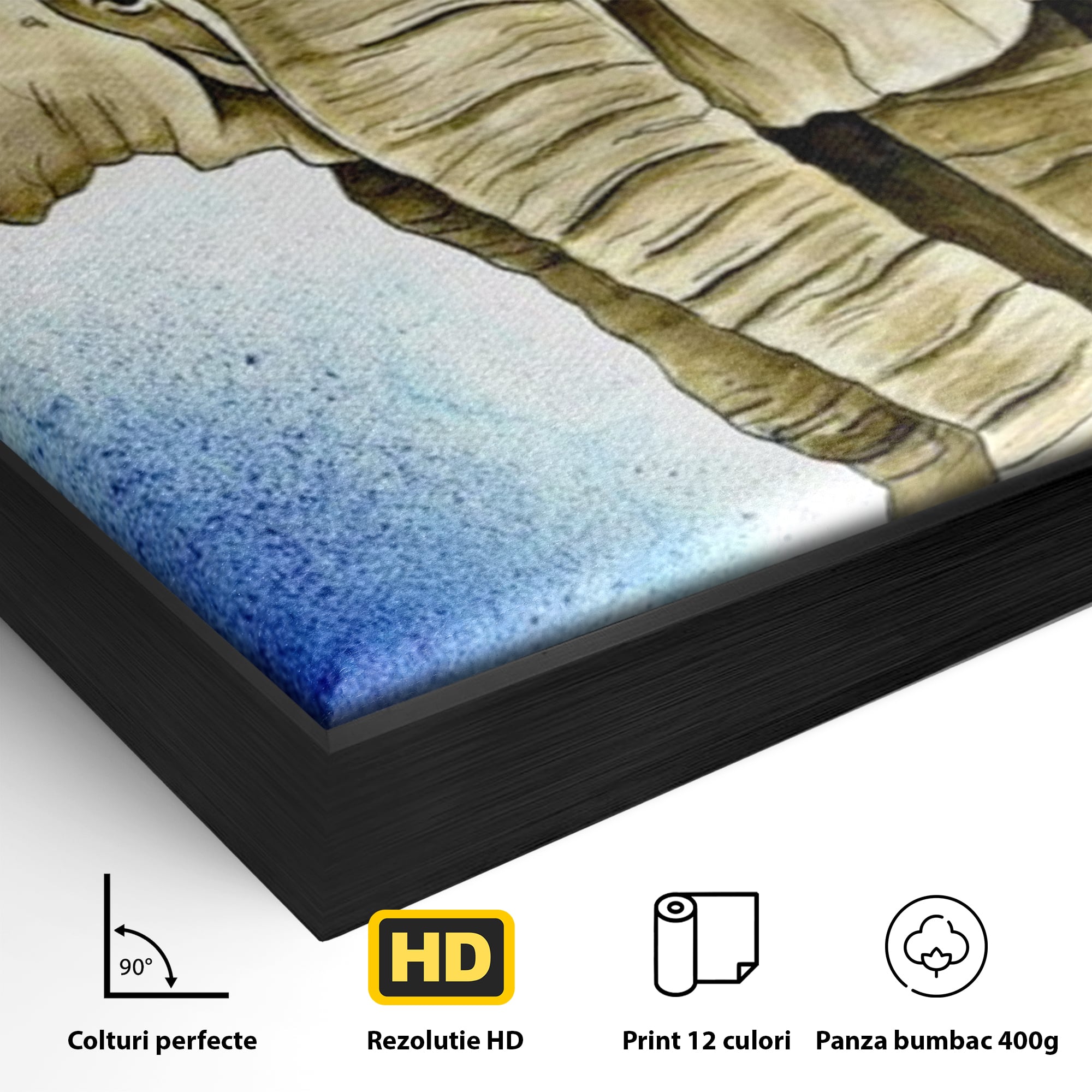 Detaliu al suprafetei: tablou canvas cu cap de elefant, in rama de aluminiu negru