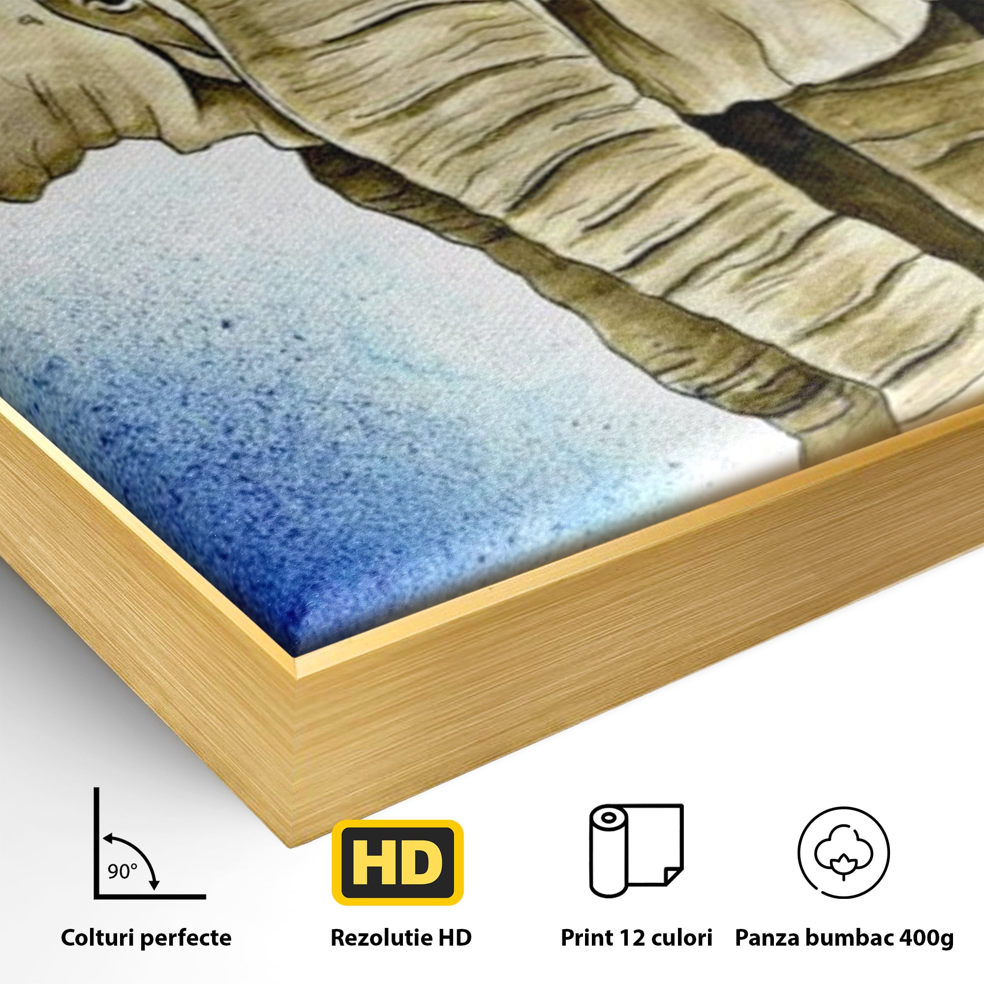 Detaliu al suprafetei: tablou canvas cu cap de elefant, in rama de aluminiu auriu