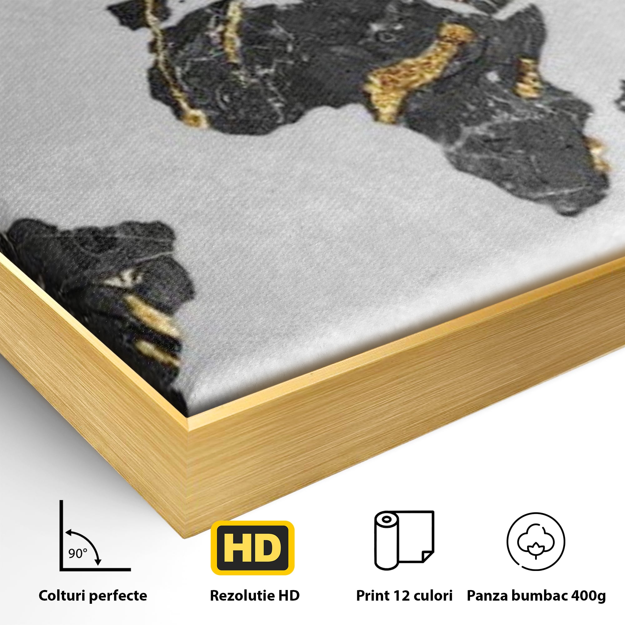 Detaliu al suprafetei: tablou canvas cu harta lumii, in rama de aluminiu auriu
