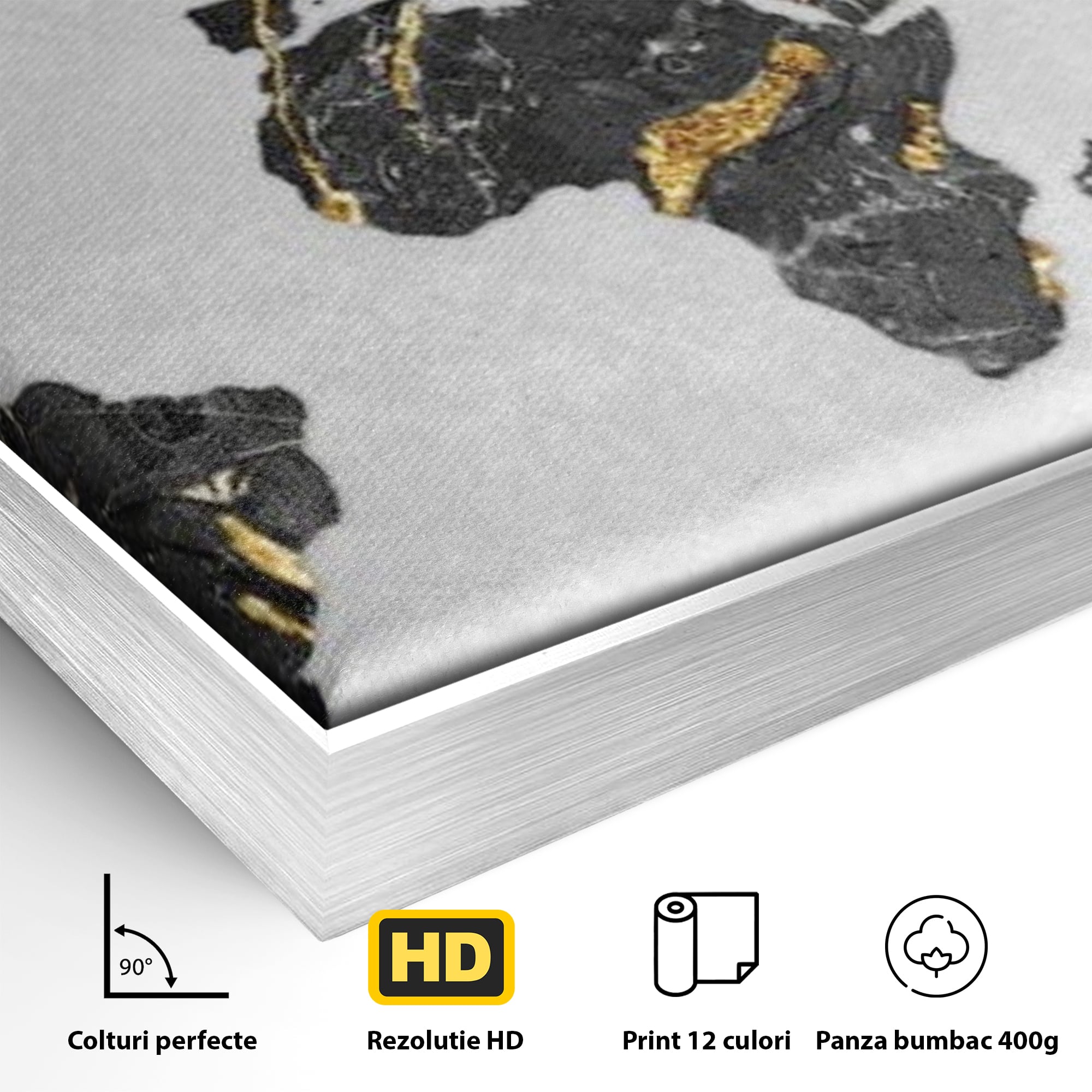 Detaliu al suprafetei: tablou canvas cu harta lumii, in rama de aluminiu argintiu