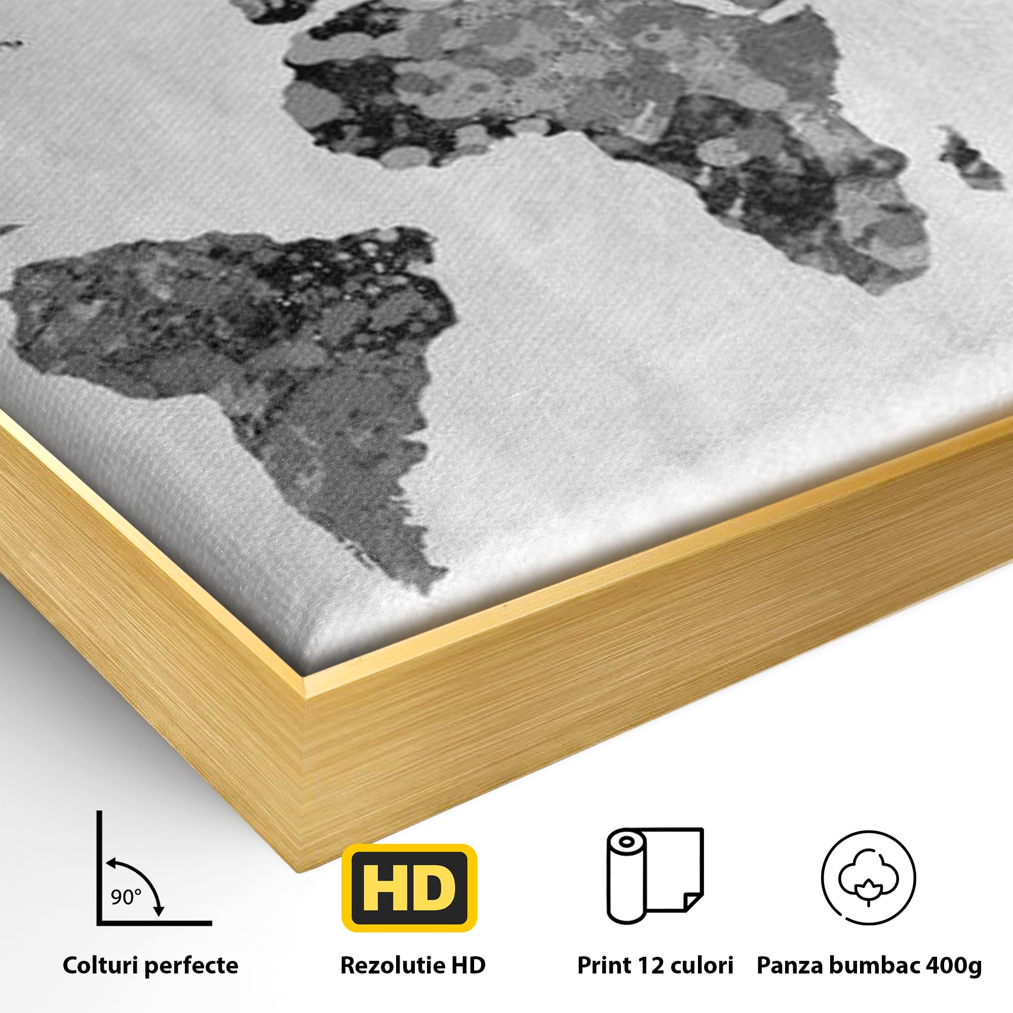 Detaliu al suprafetei: harta lumii in tonuri de gri, in rama de aluminiu auriu