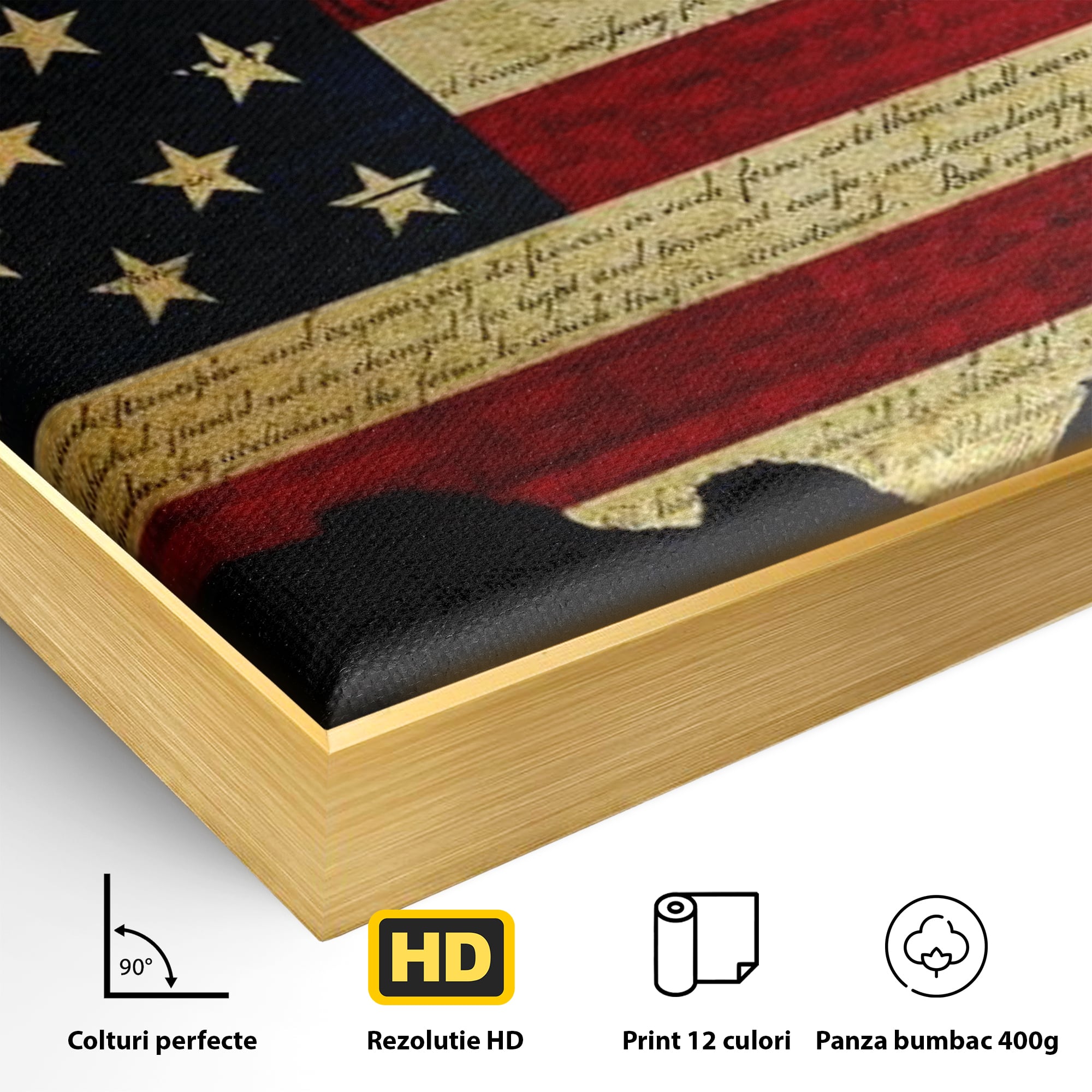 Detaliu al suprafetei: tablou canvas cu harta statelor unite si steagul american, in rama de aluminiu auriu